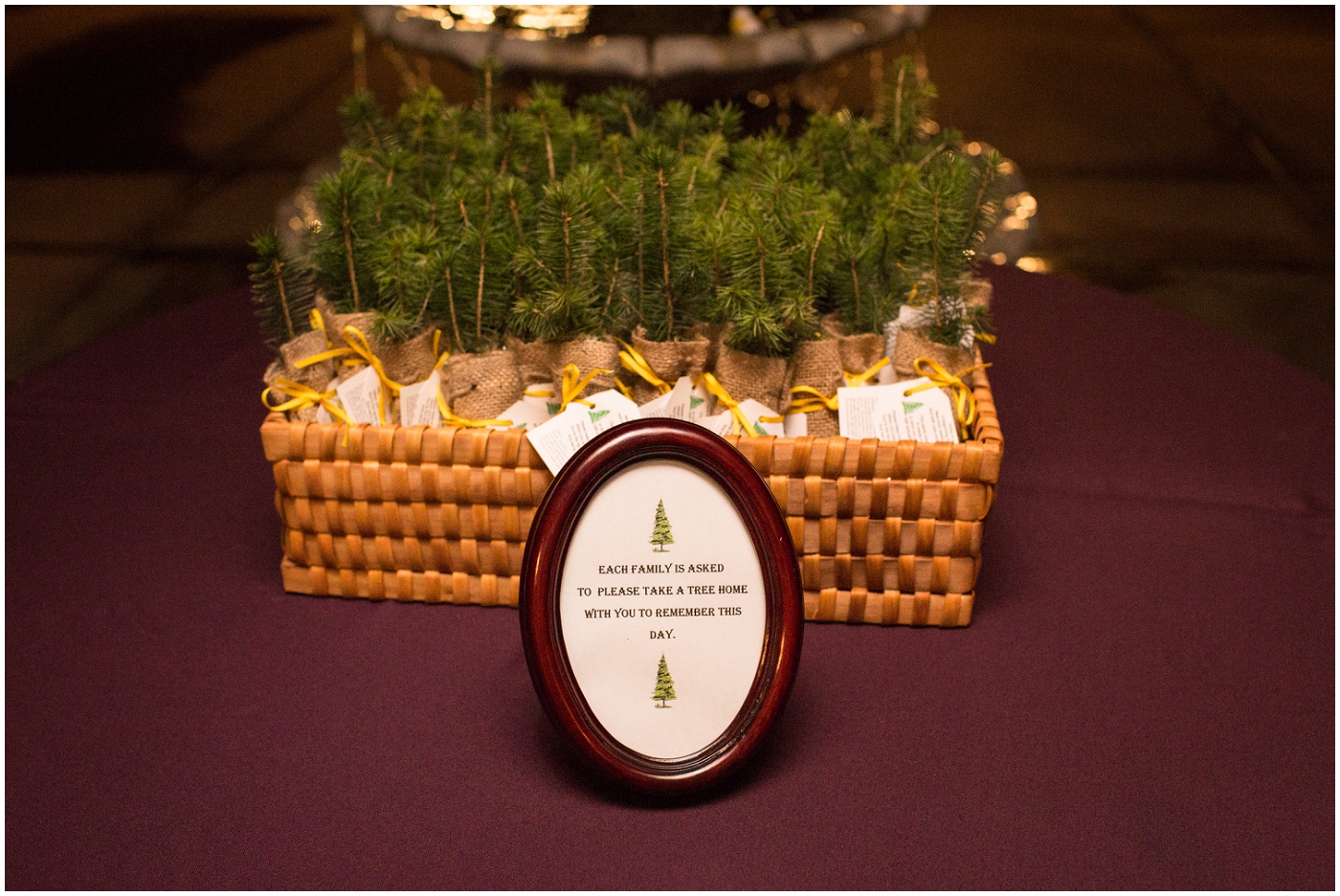 picture of wedding tree favors