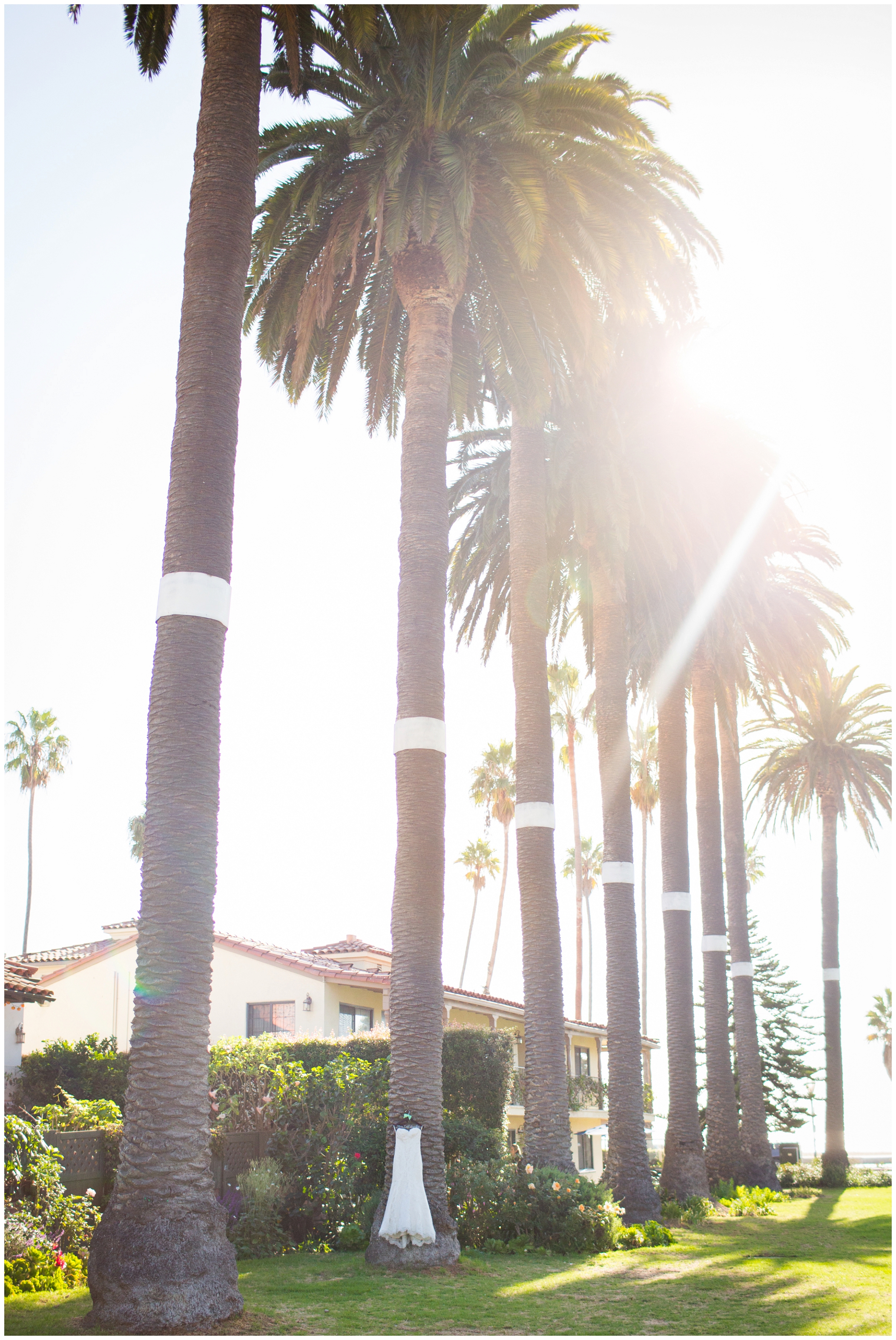 picture of wedding dress hanging on a palm tree