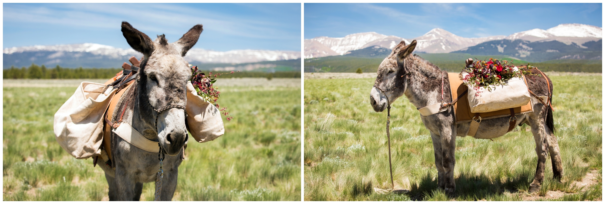 picture of Colorado mountain wedding photography 