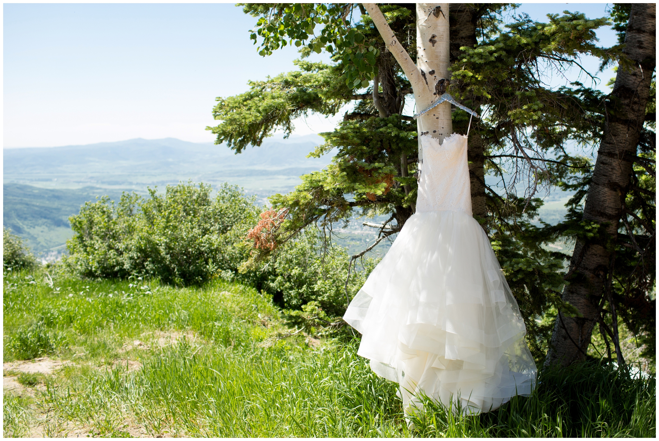 picture of bride's dress in a tree