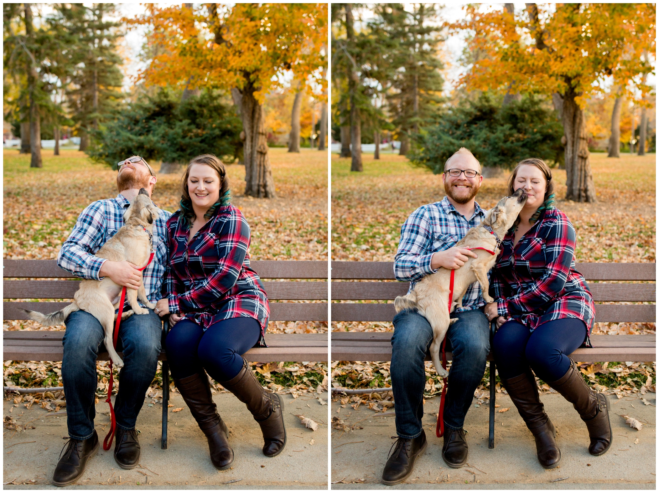 engagement photos with dog in Longmont Colorado 
