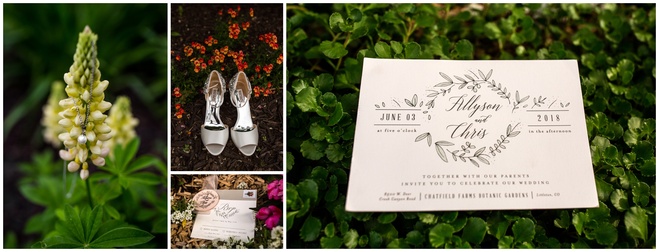 garden wedding invitation at Chatfield Botanic Gardens
