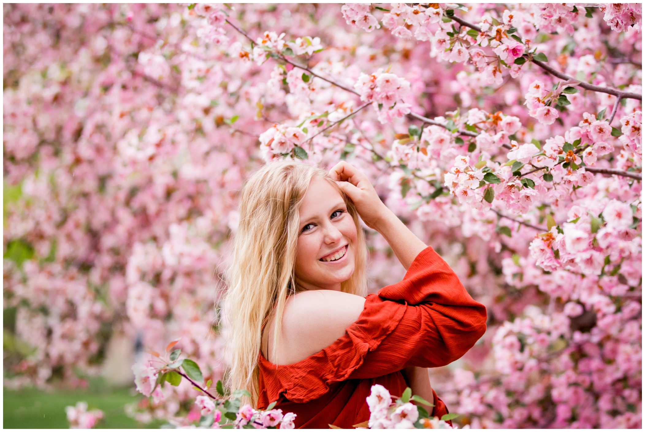 Longmont Colorado senior pictures during spring with the cherry blossom trees in background