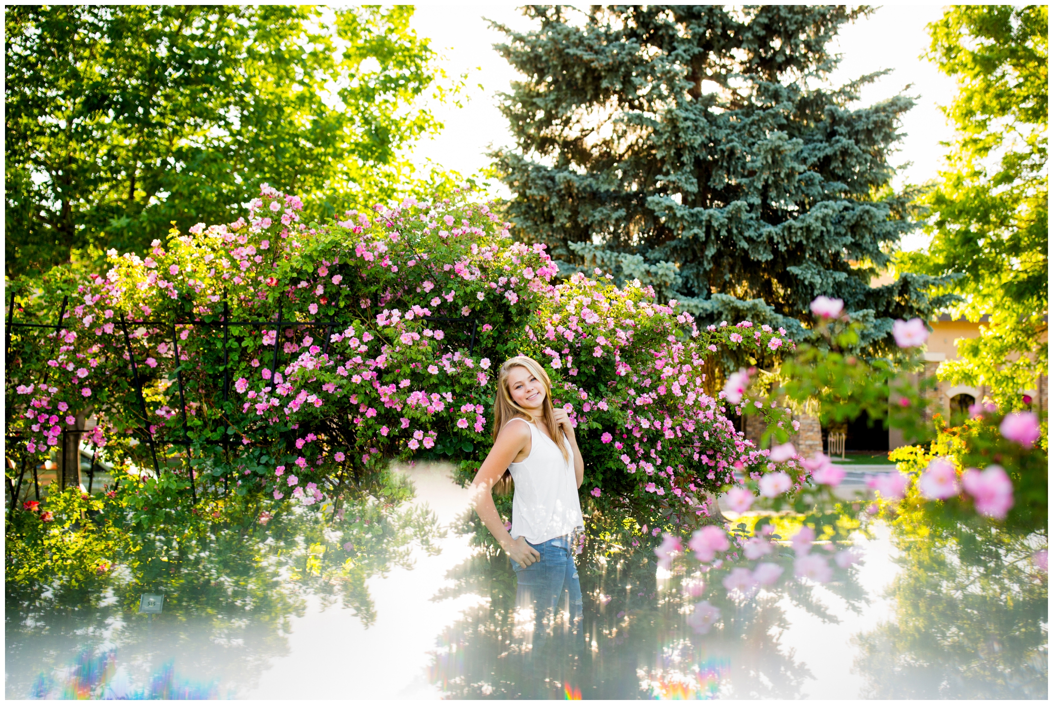 Niwot senior pictures at Roosevelt Rose Gardens by Longmont Colorado portrait photographer Plum Pretty Photography