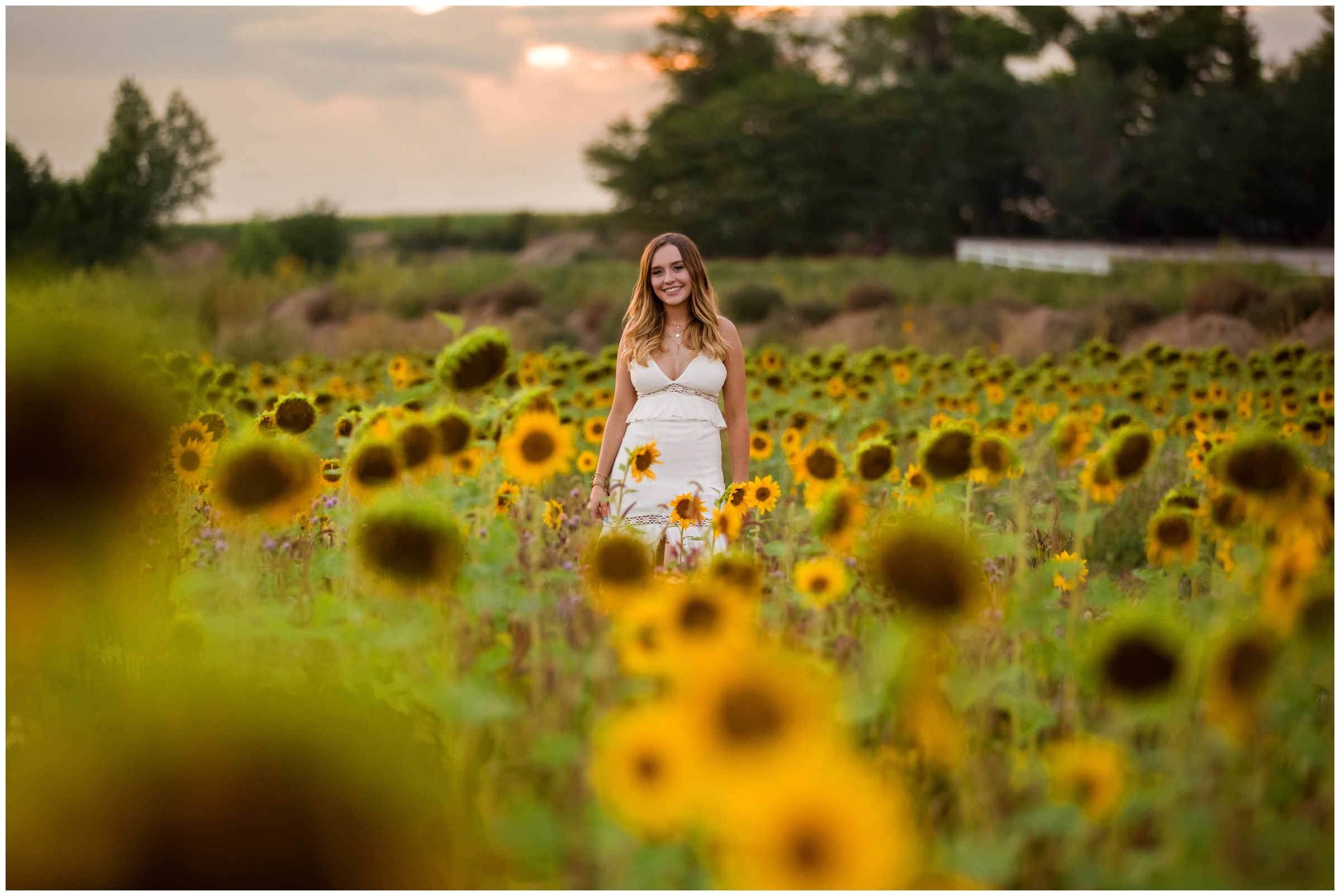 Berthoud senior photos in sunflower field by Colorado portrait photographer Plum pretty photography 