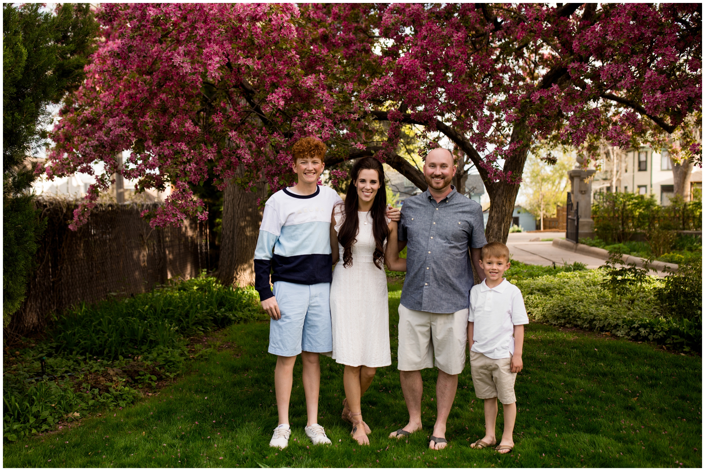 Longmont spring family photos with cherry blossoms at the Callahan House by Colorado portrait photographer Plum Pretty Photography
