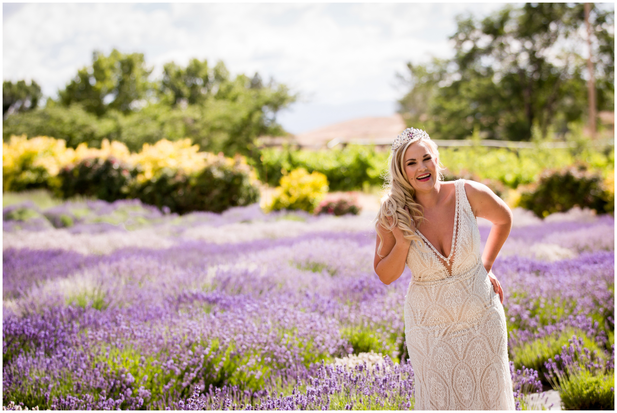 bride laughing in lavender field at Palisade Colorado wedding 