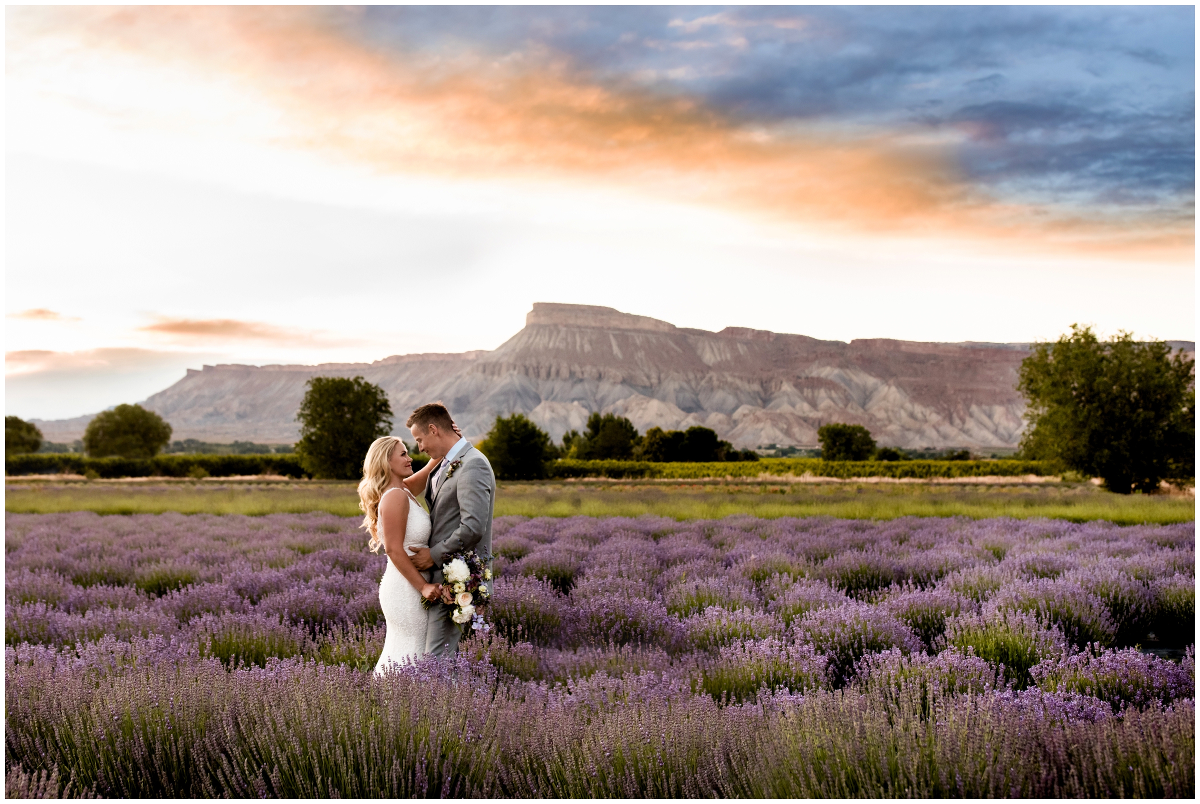 couple standing in lavender field during Grand Junction wedding photos at Sage Creations Organic Farm by Colorado photographer Plum Pretty Photography