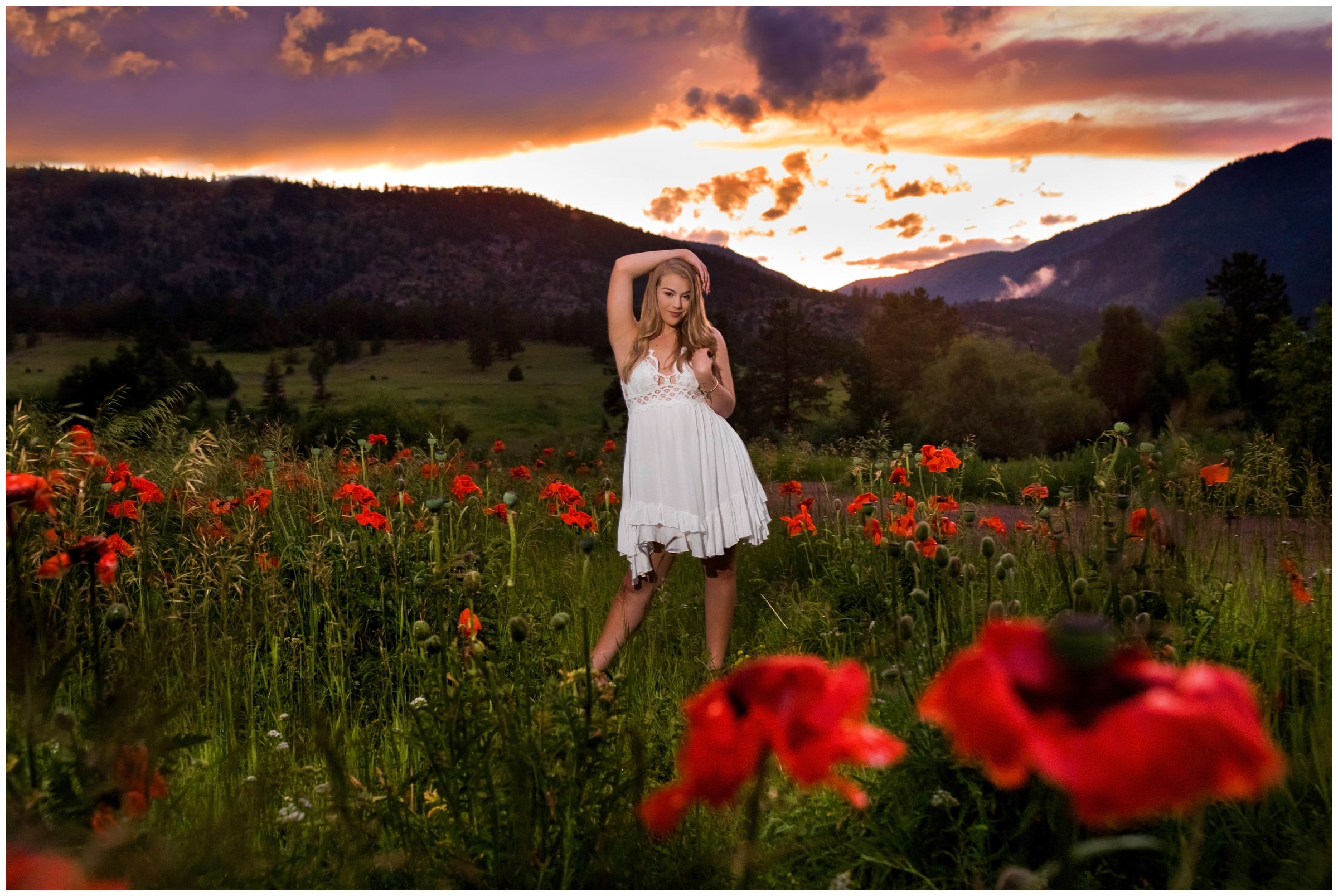 Colorado mountain senior pictures at sunset in a poppy field by Estes Park photographer Plum Pretty Photography
