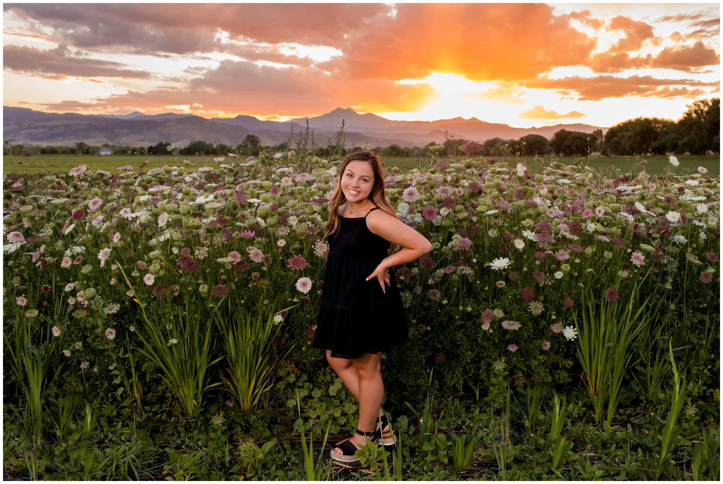 girl standing in flower field at sunset during Lyons senior photos by Colorado photographer Plum Pretty Photography