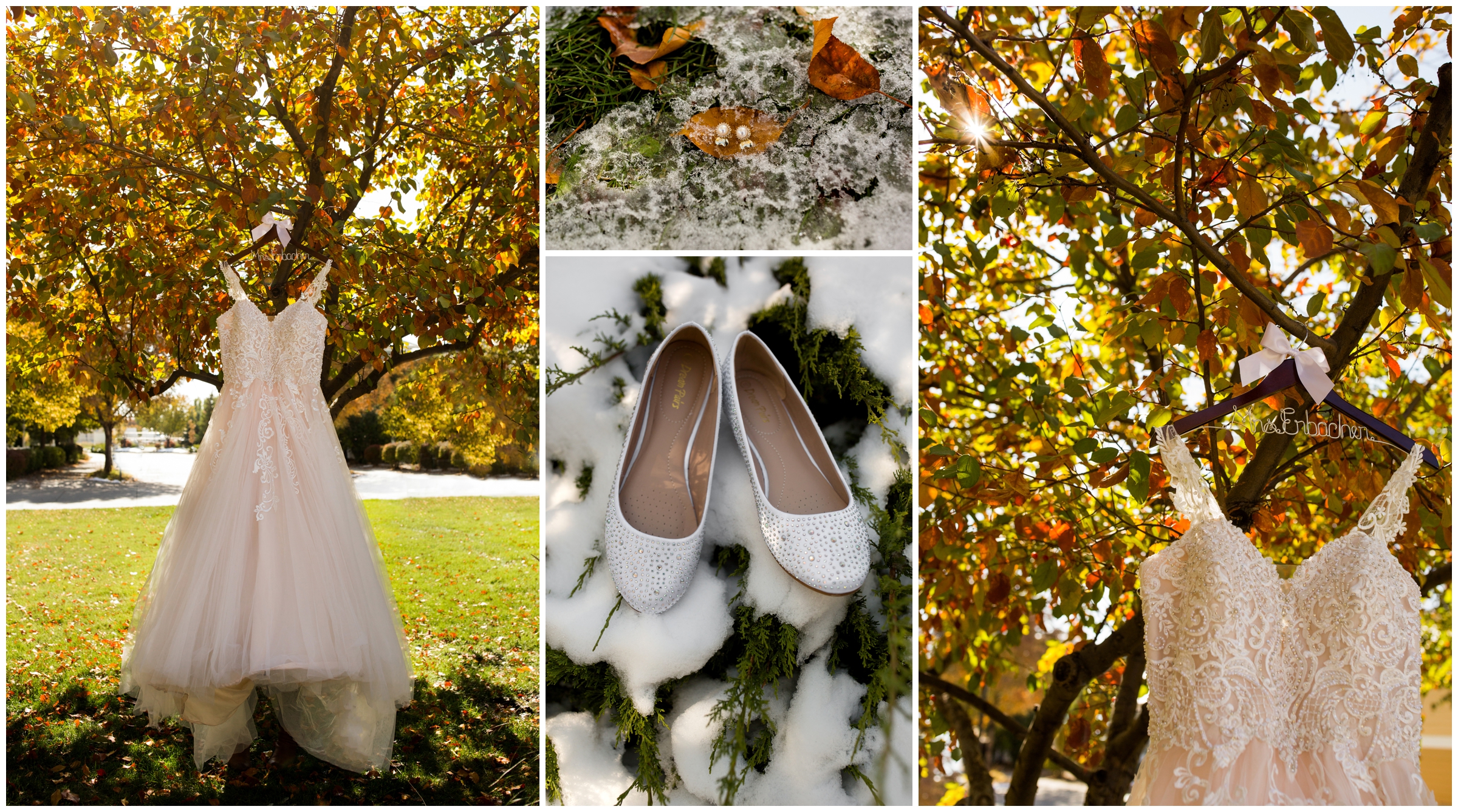 wedding dress in a tree with colorful fall foliage 