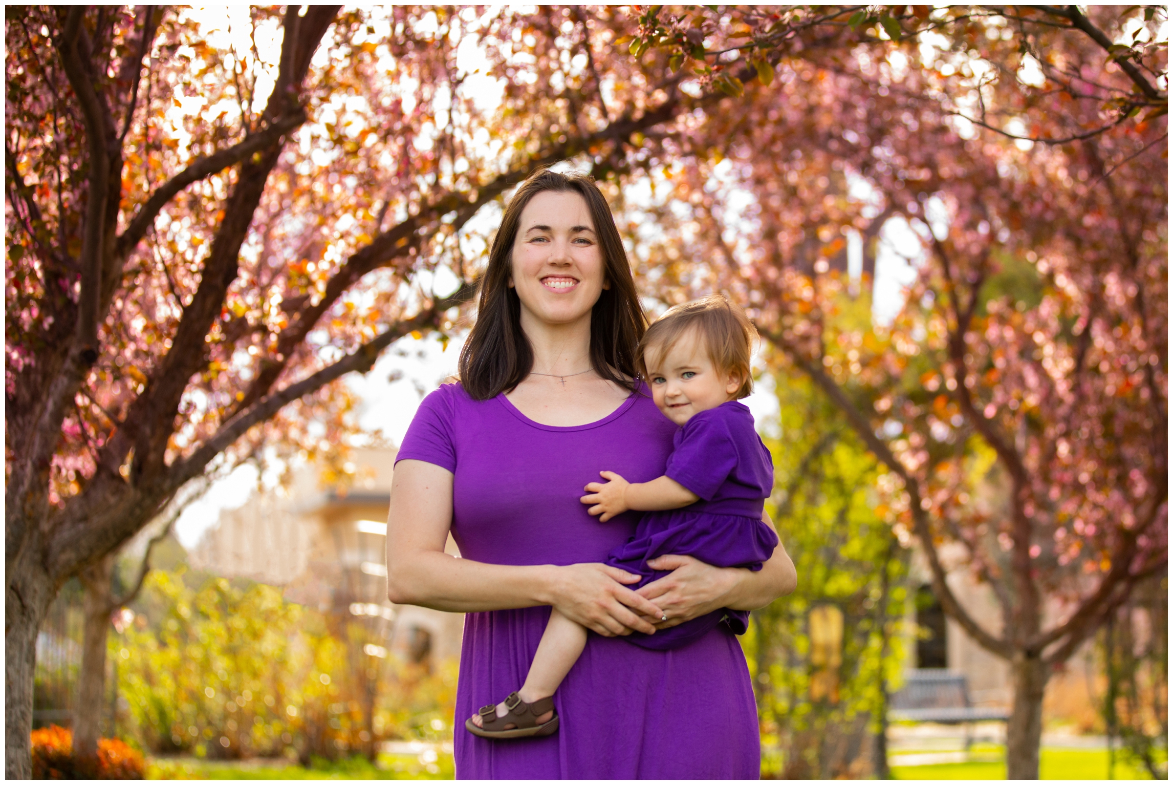 cherry blossom family pictures in Longmont Colorado 