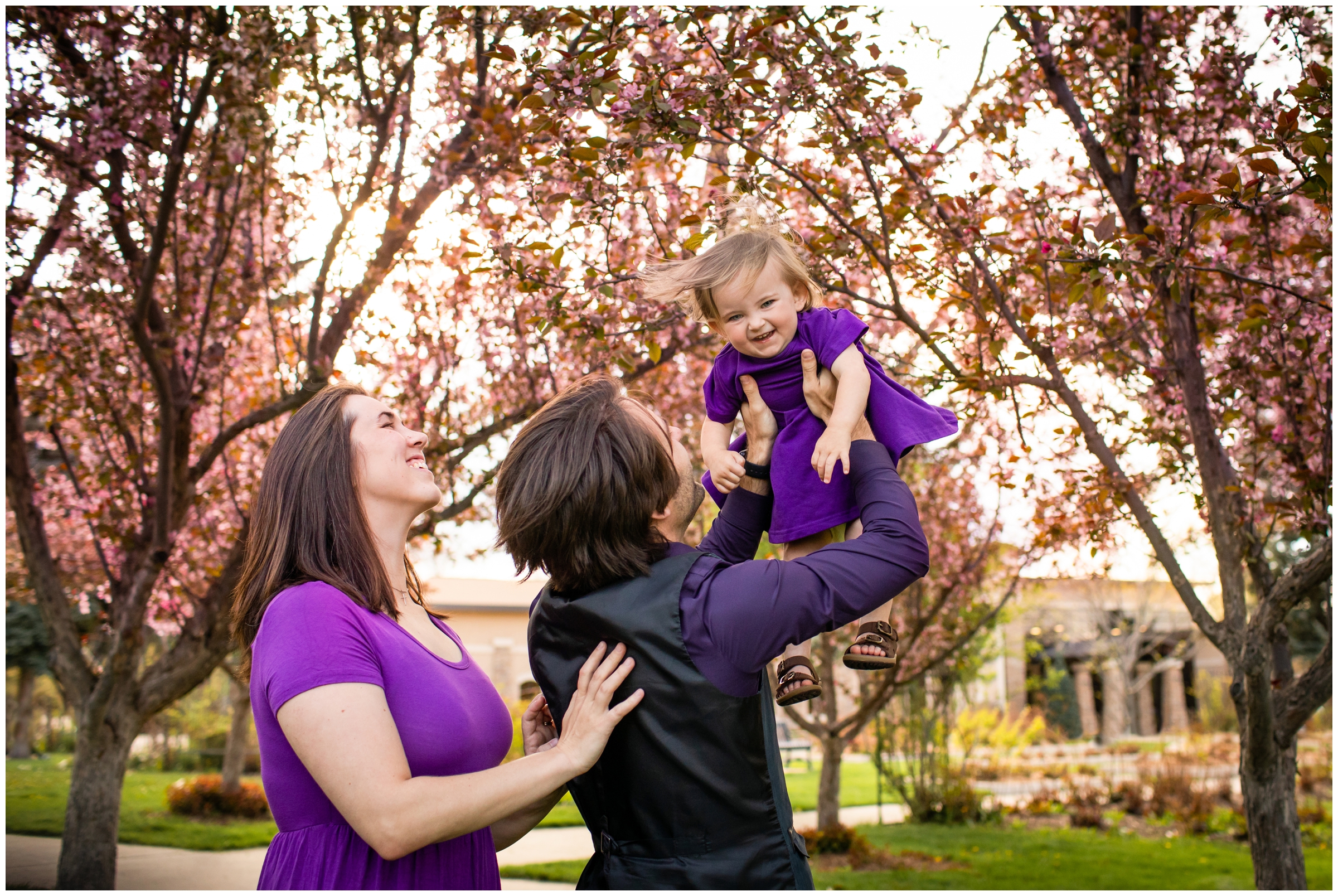 dad lifting daughter into the air during spring family photo shoot with the crab apple blossoms during Longmont Colorado family photos 