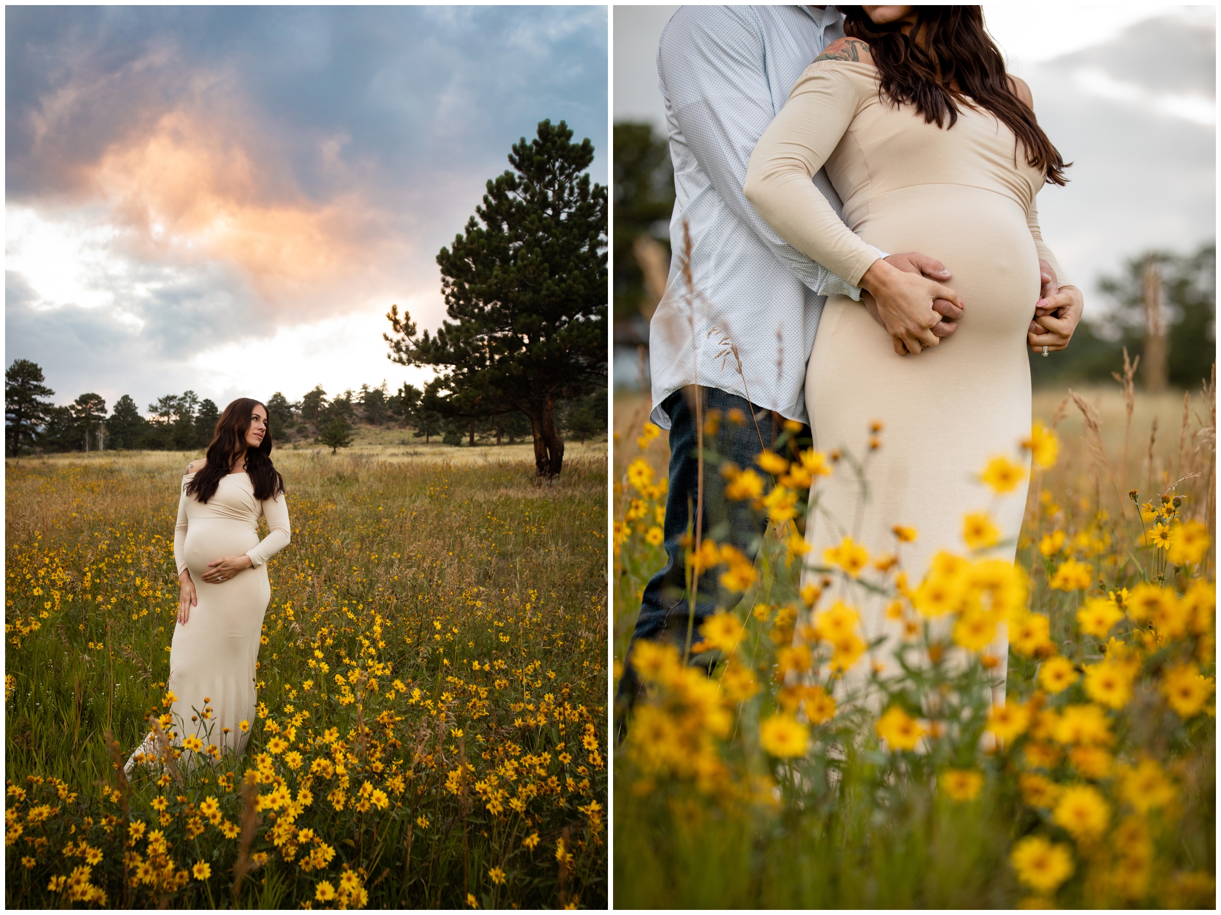 pregnant woman in field of yellow wildflowers during Colorado mountain maternity pictures in RMNP Estes Park 
