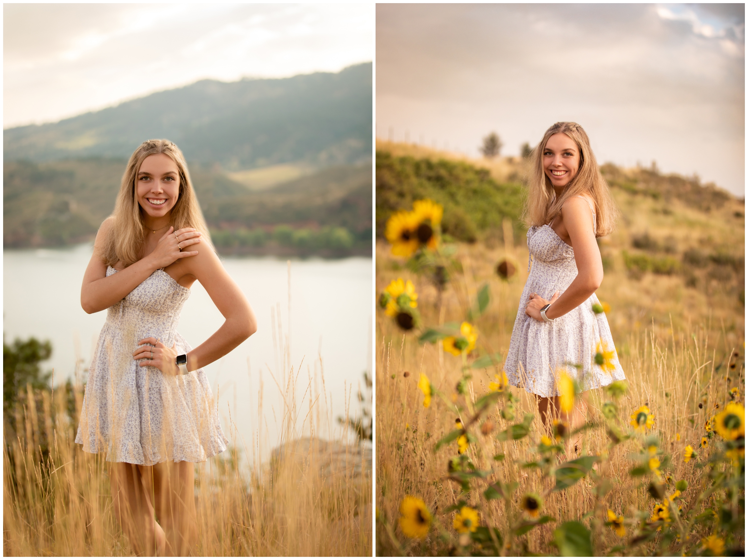 sunflower senior pictures in Fort Colins Colorado 
