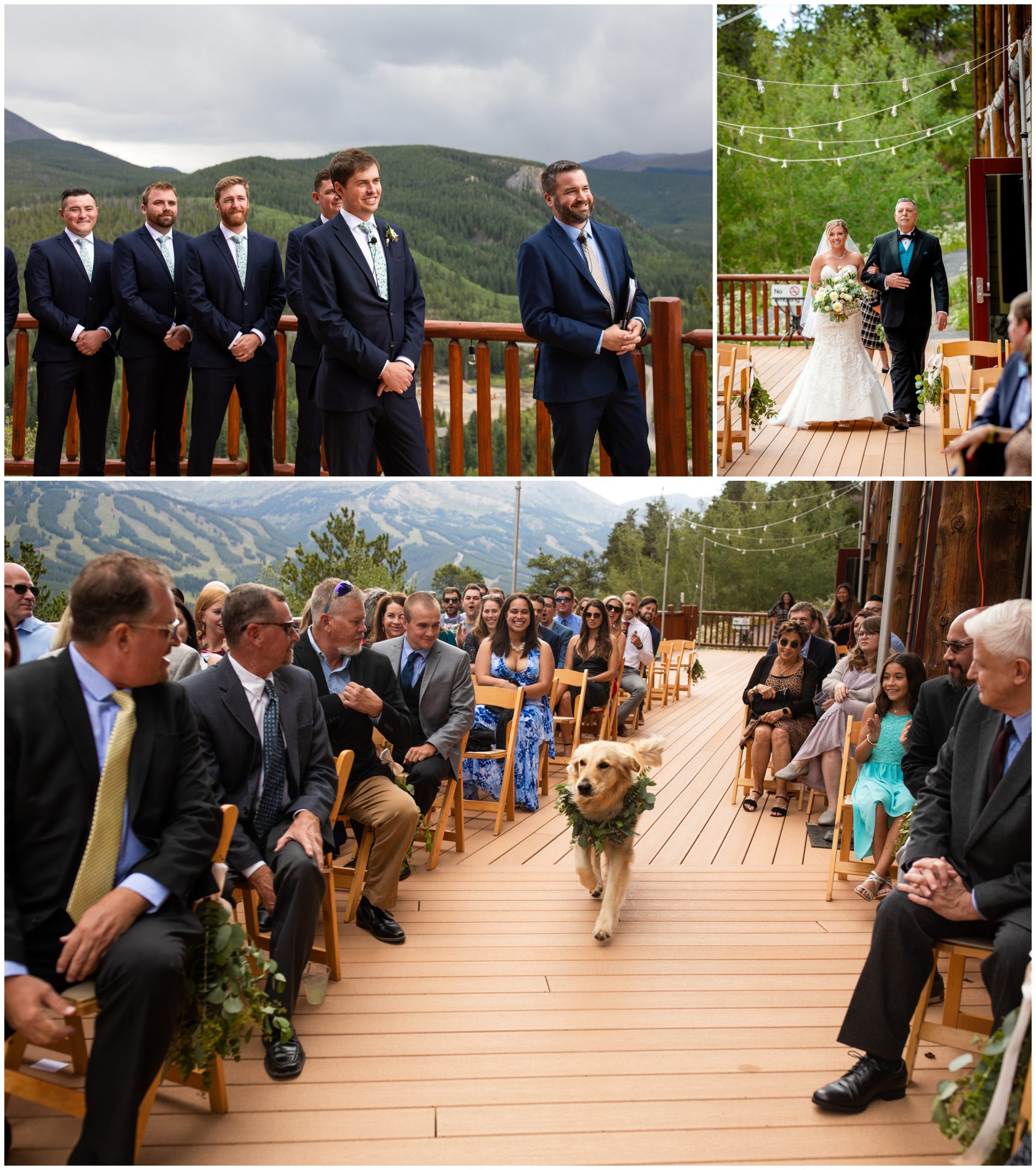 bride and groom's dog walking down the aisle as the ring bearer at Lodge at Breckenridge Colorado wedding ceremony 