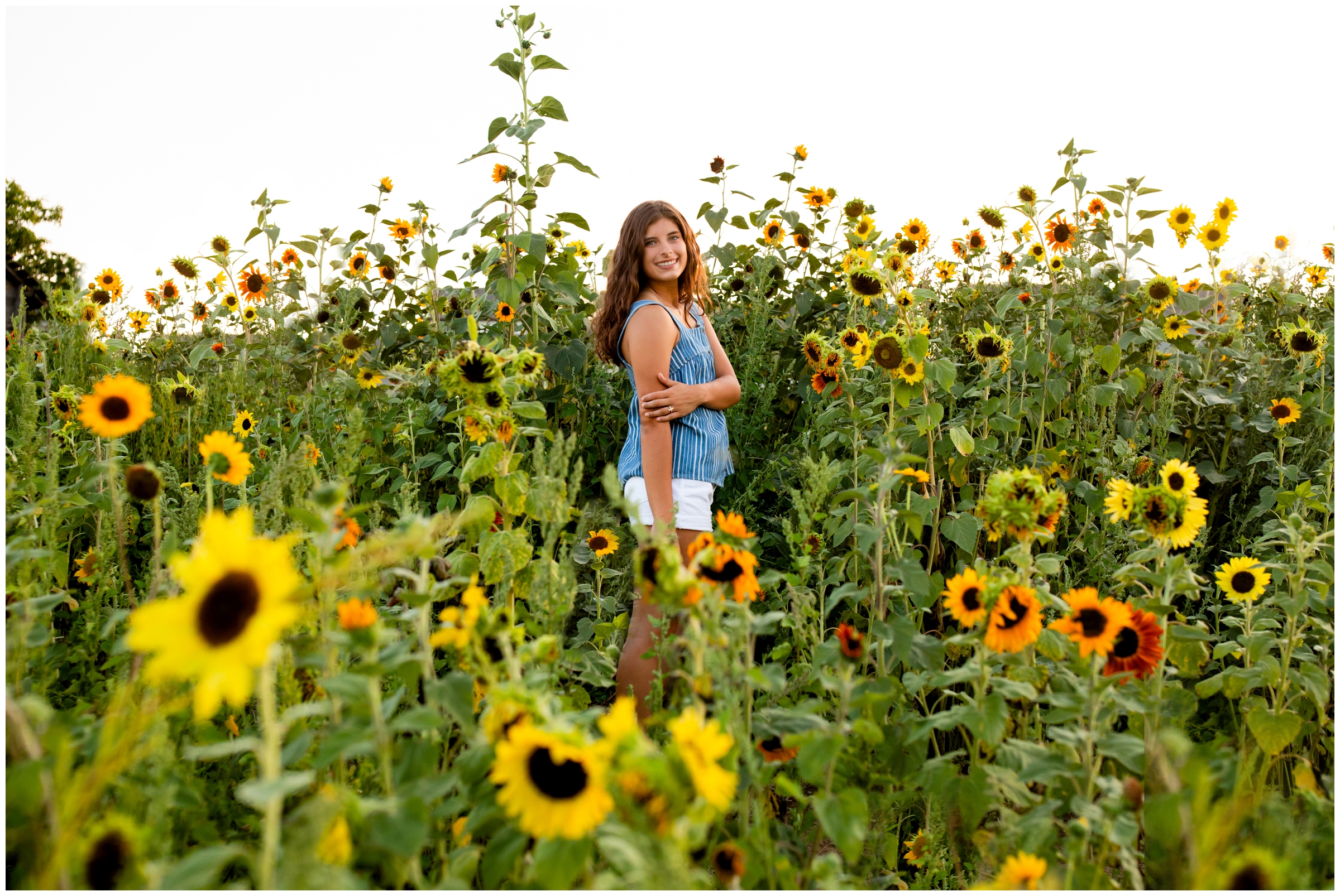 sunflower field senior photography inspiration at bee hugger farm in Colorado