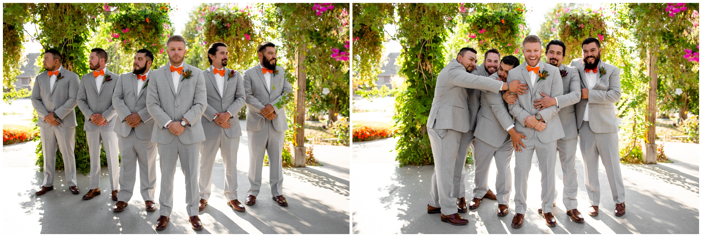 groomsmen in gray and orange tackling groom during Colorado wedding pictures 