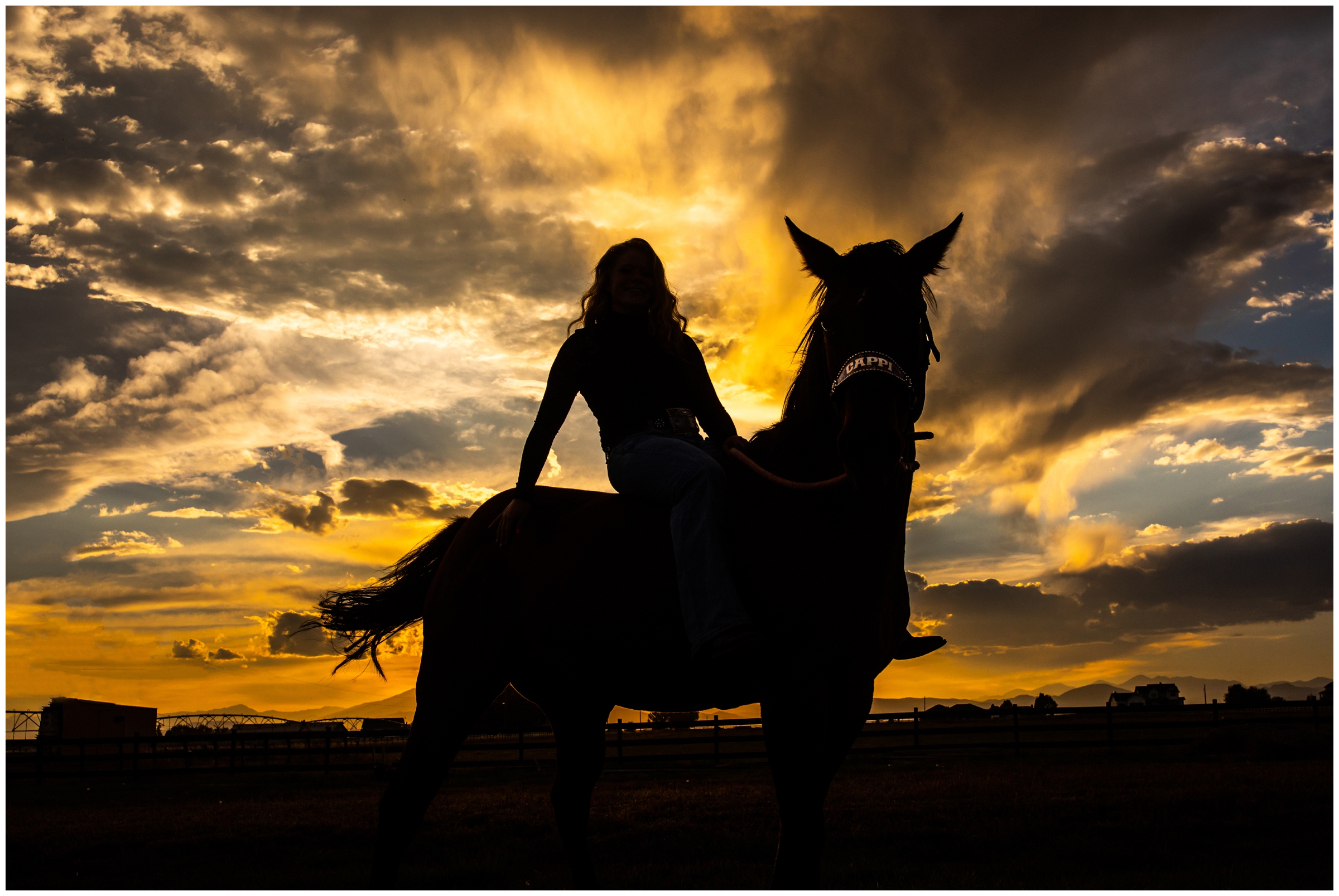 silhouette photo of girl and her horse during CO equestrian portraits