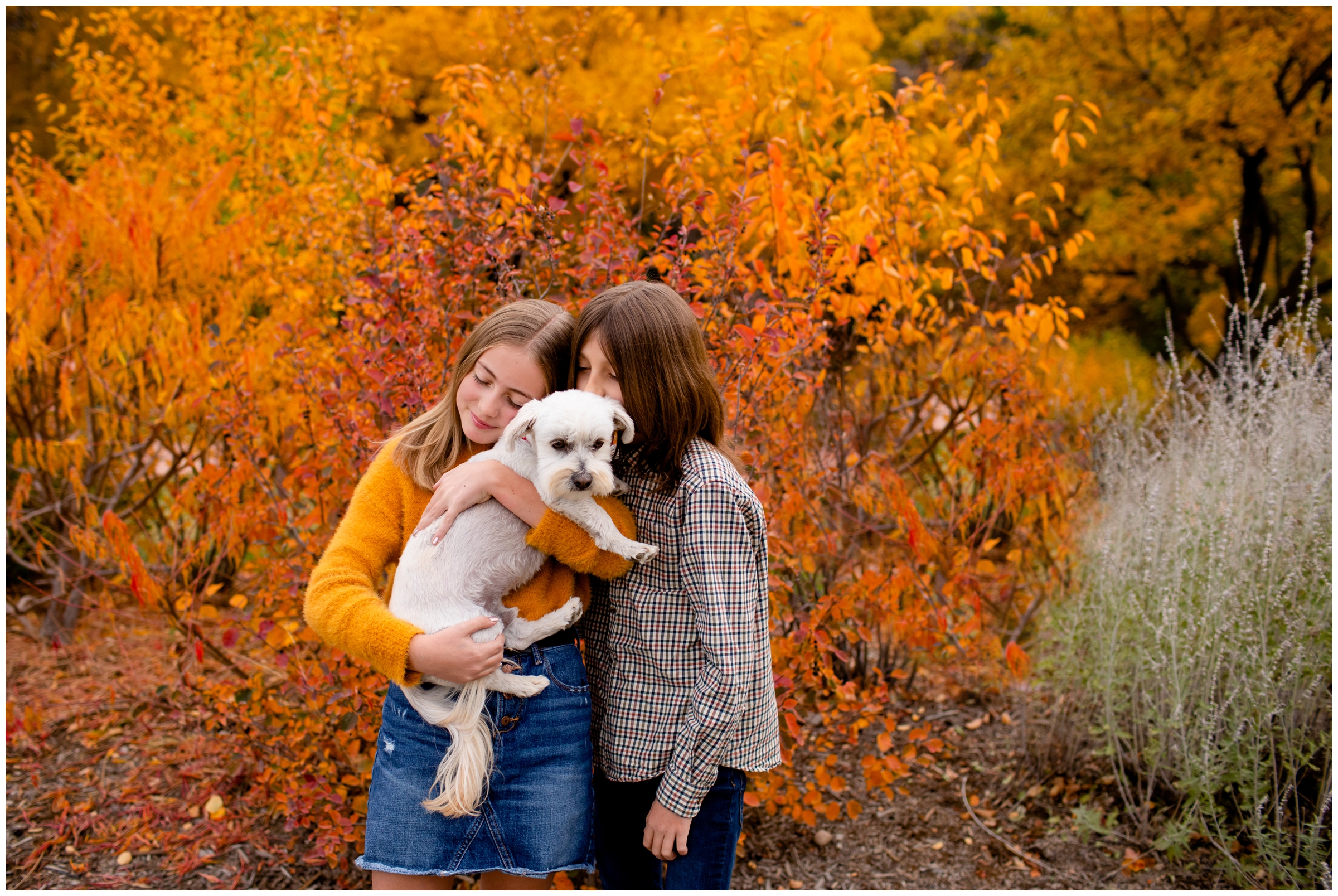kids hugging dog during candid photography session in Colorado mountains during fall 