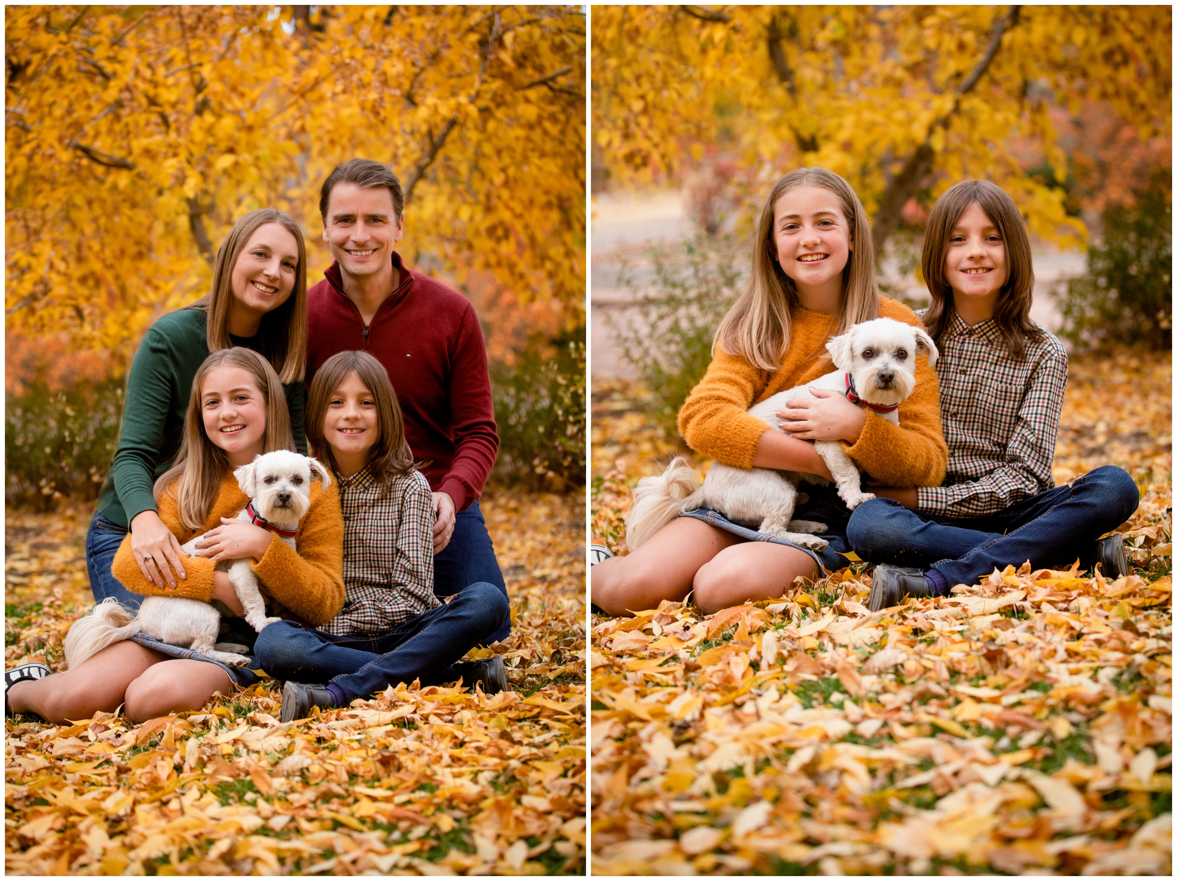 siblings sitting in a pile of leaves with their dog during Lyons Colorado fall family portraits 
