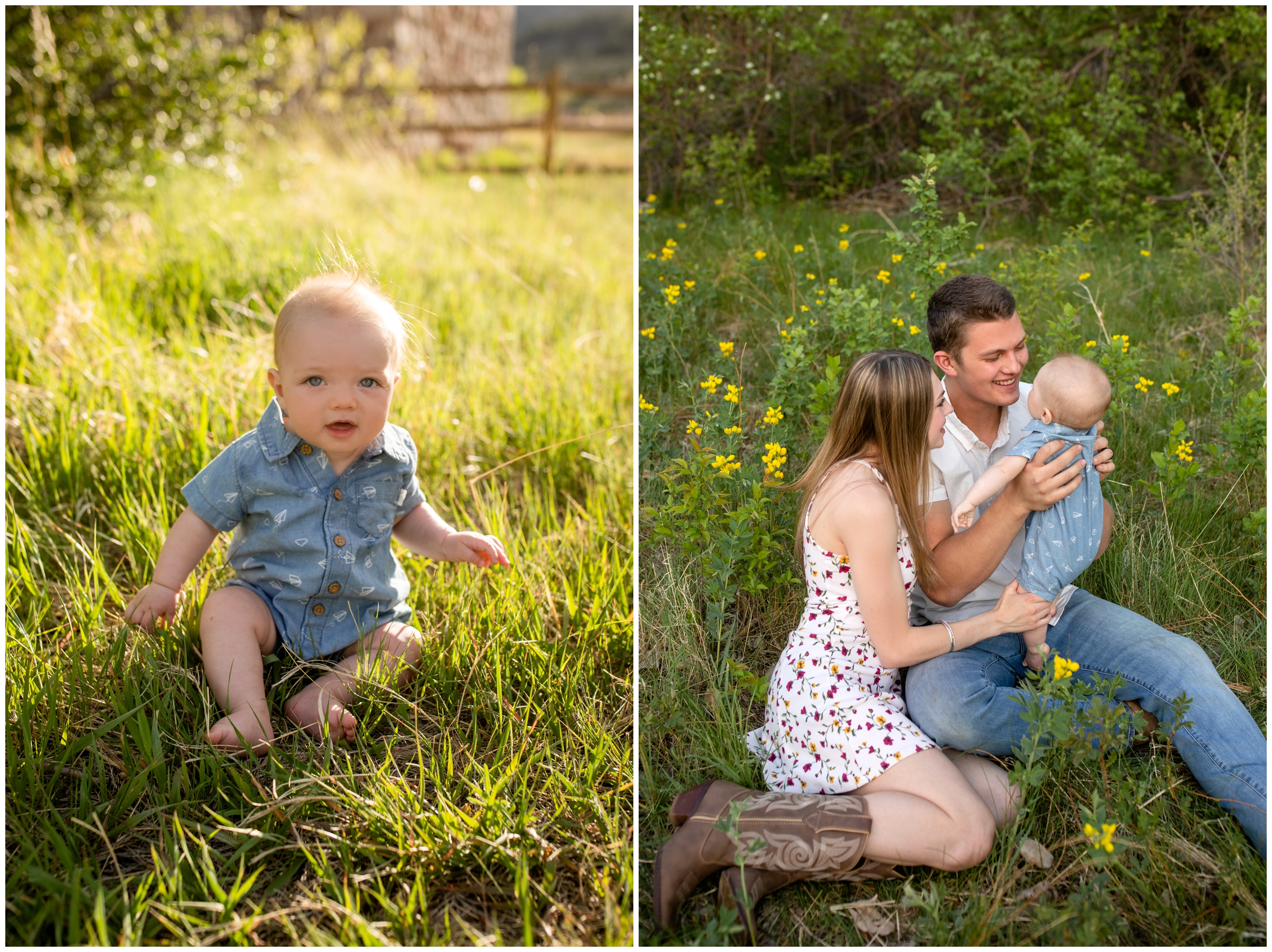 family sitting in a field of wildflowers during spring family photography session in the Boulder Colorado mountains 