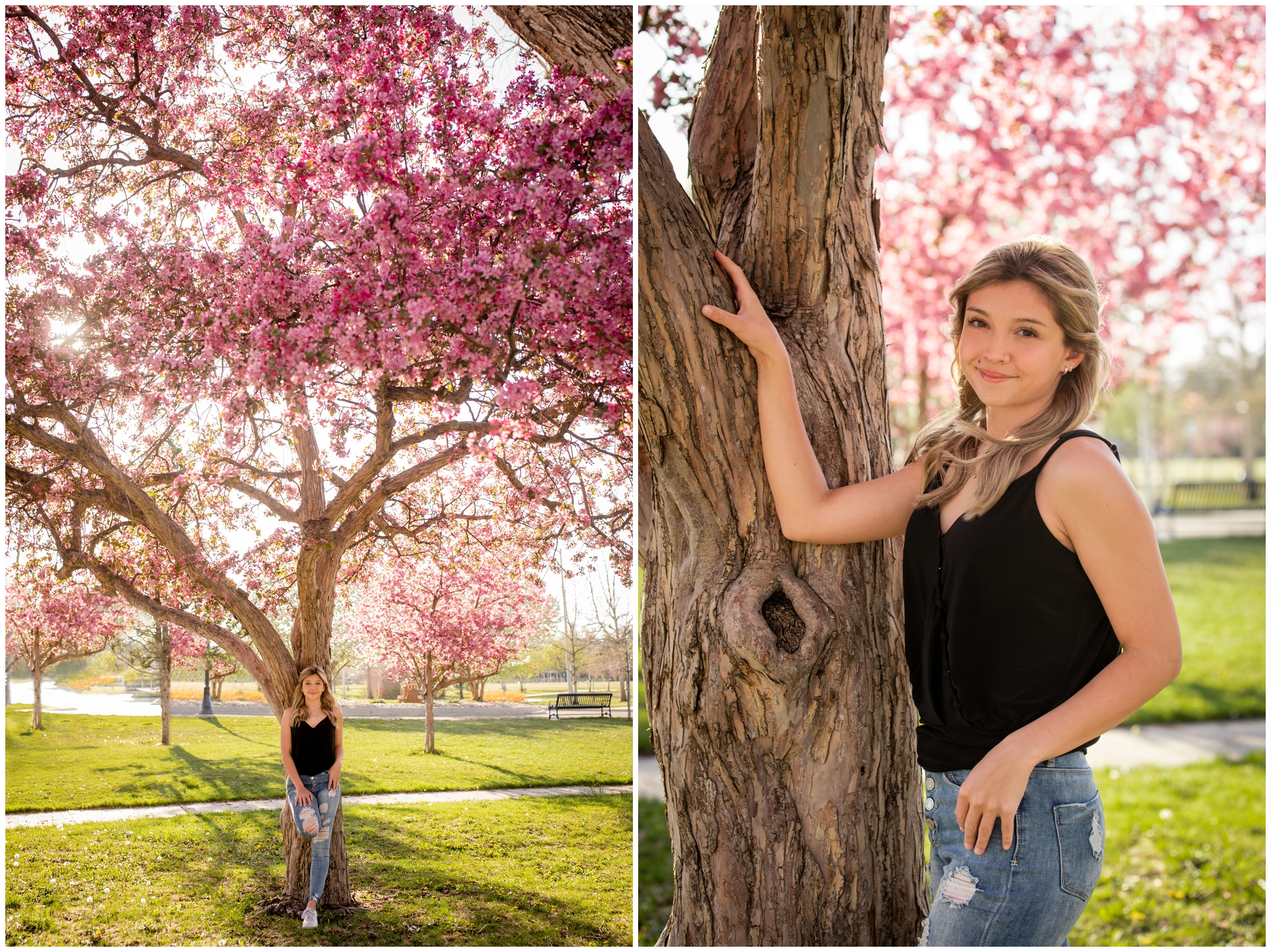 Spring Colorado senior pictures with blossoming trees at Roosevelt Park in Longmont