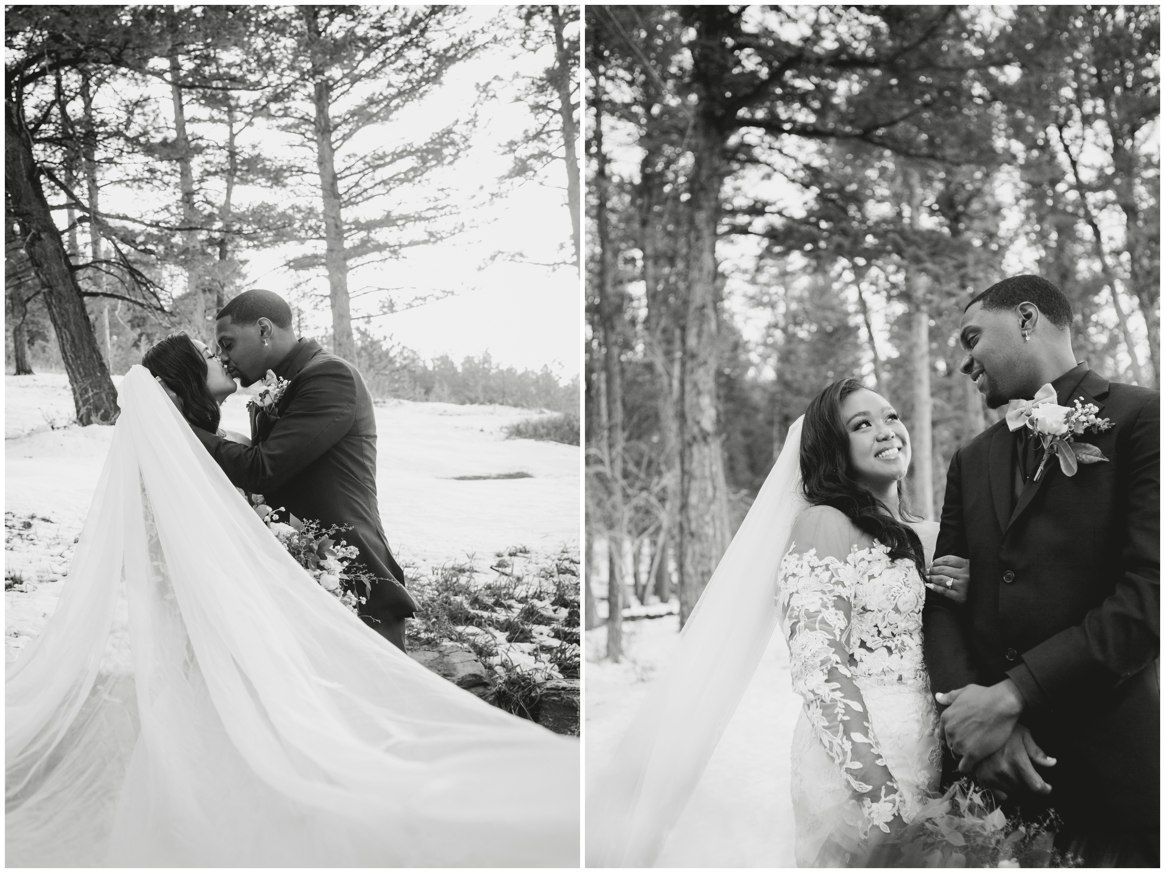 Snowy spring Pines at genesee wedding photography by Colorado photographer Plum Pretty Photography