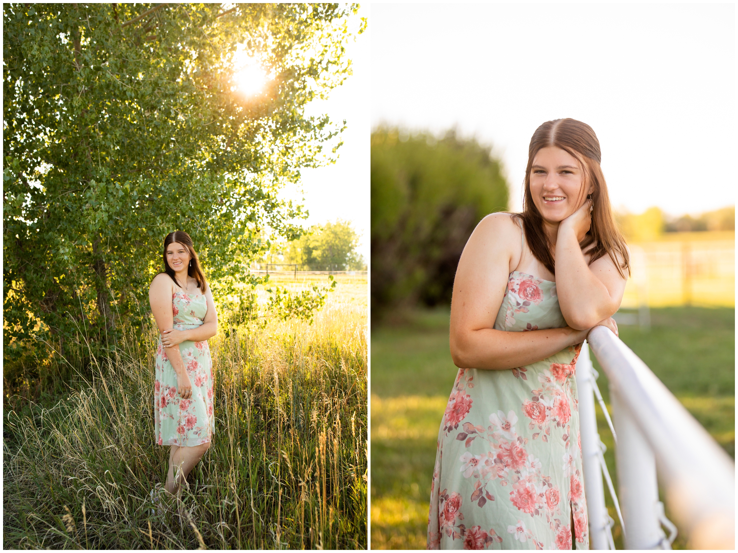 Longmont graduation photography session during summer at a farm