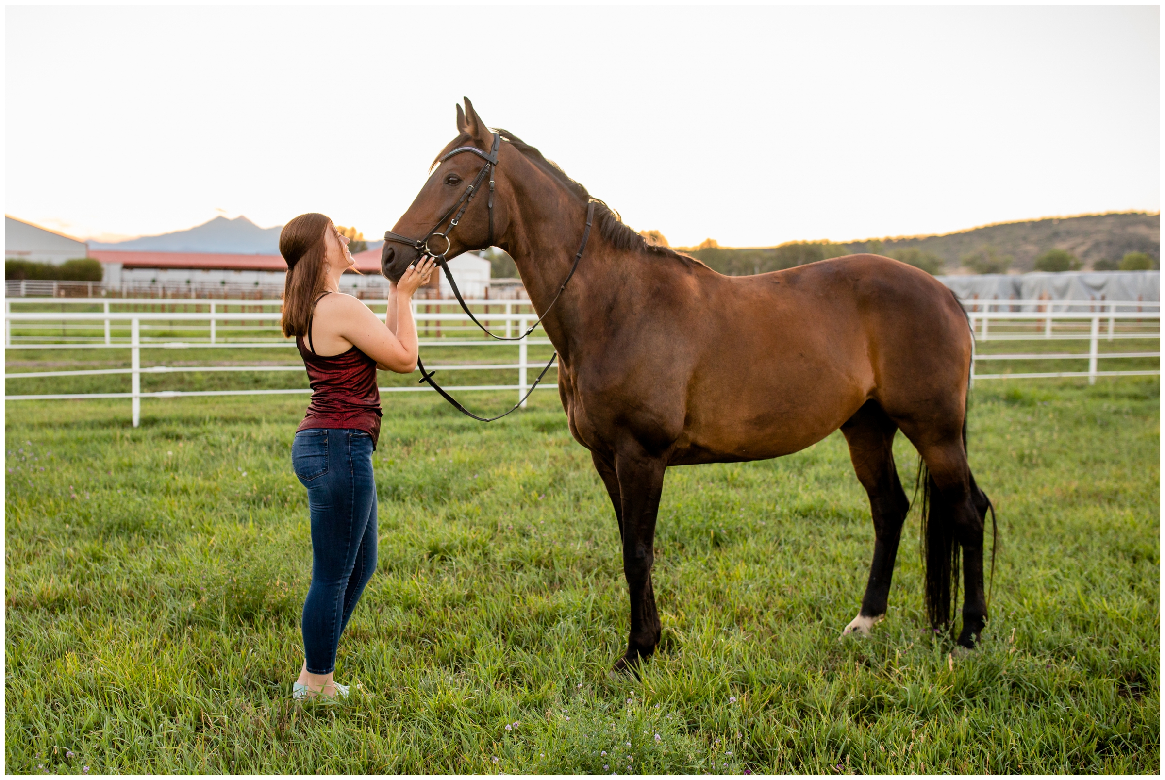 Colorado horse senior photography inspiration at a farm in Longmont 