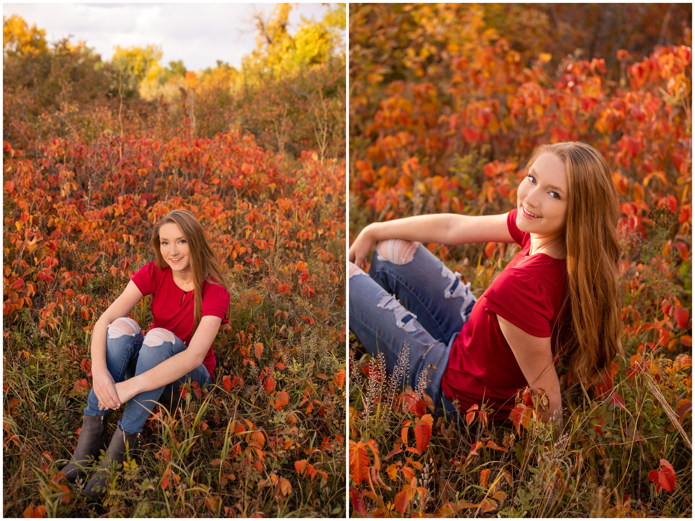 teen girl sitting amongst red sumac during colorful fall senior pictures in Boulder Colorado