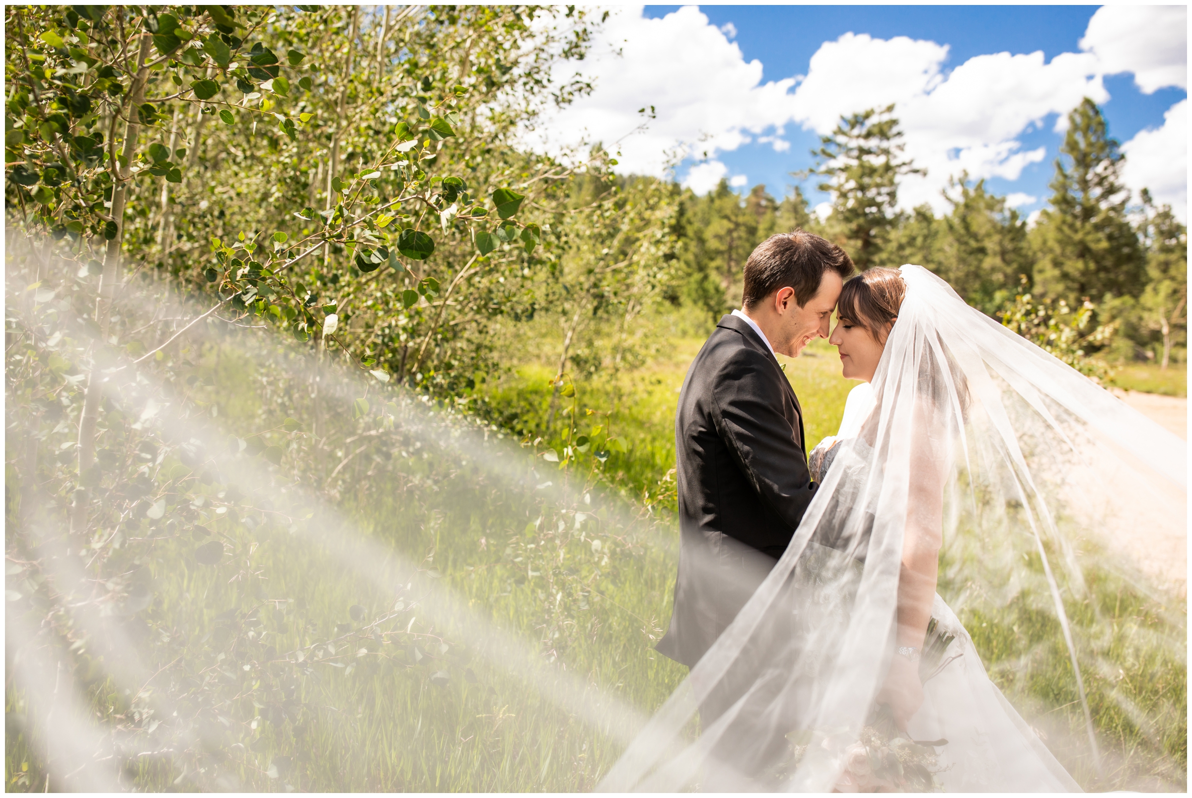 romantic wedding portraits with long cathedral veil during Estes Park Colorado mountain wedding pictures at Hermit Park 