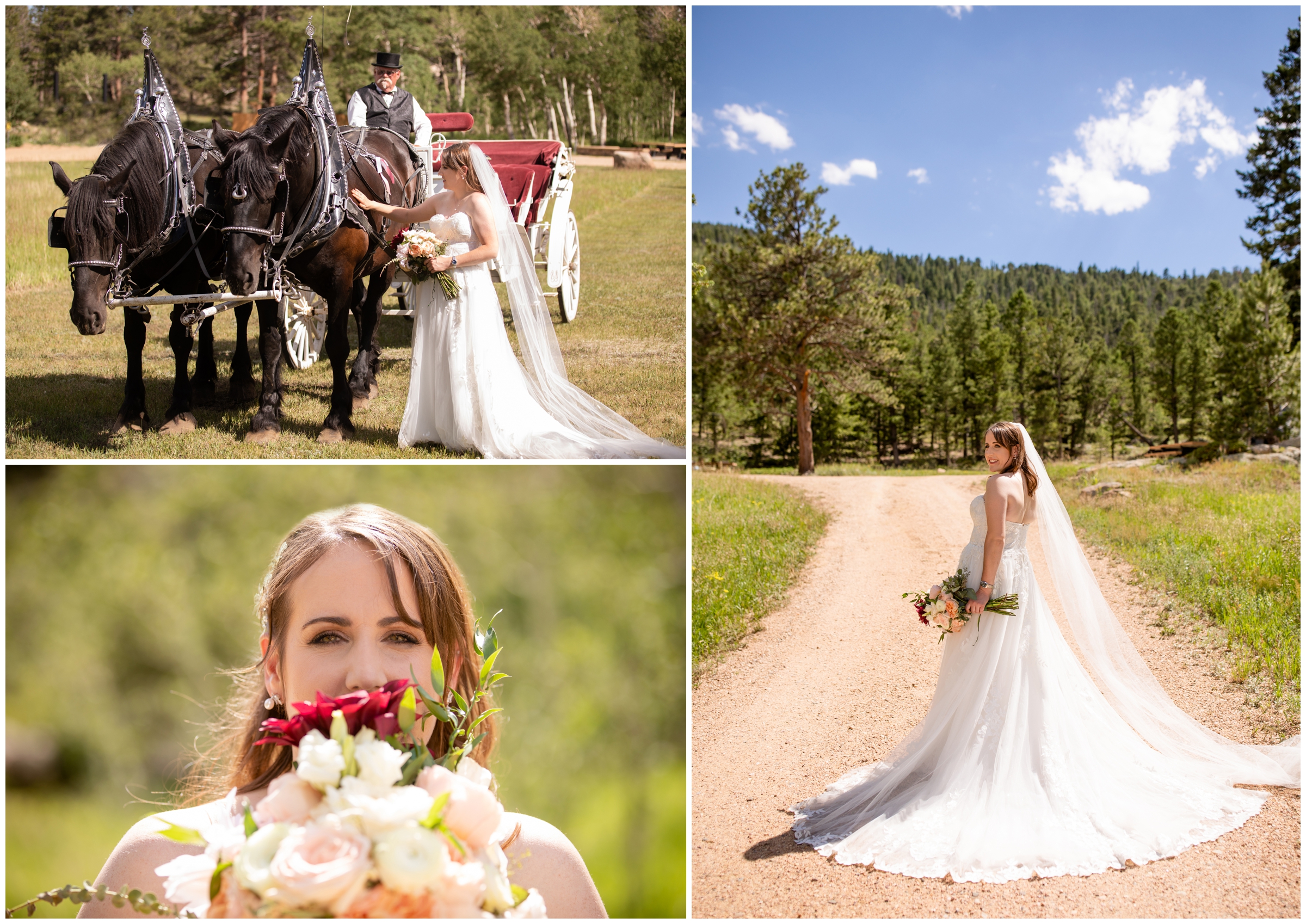Hermit Park wedding photos during summer by Estes Park mountain photographer Plum Pretty Photography