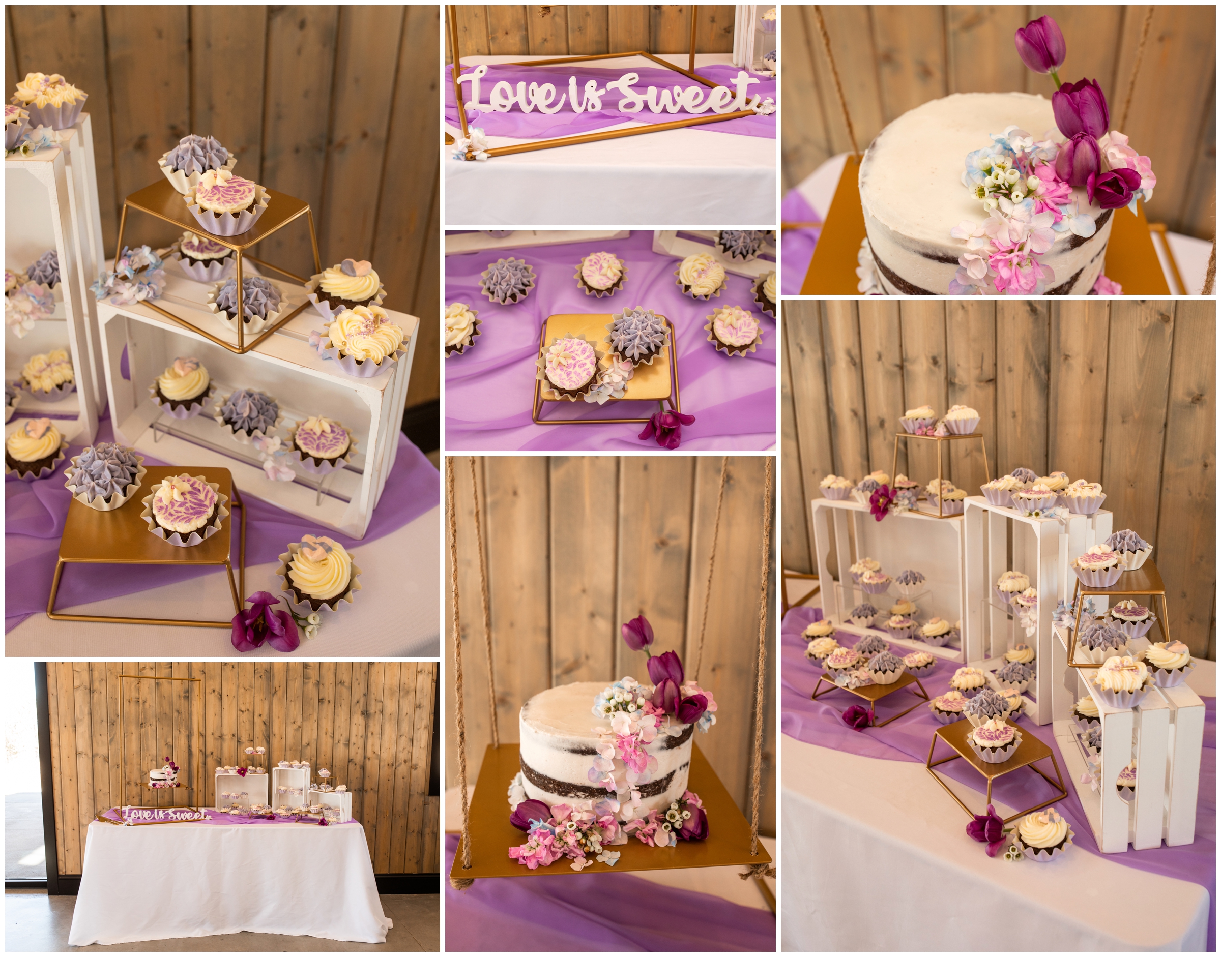 wedding cake hanging on swing during Colorado wedding reception 