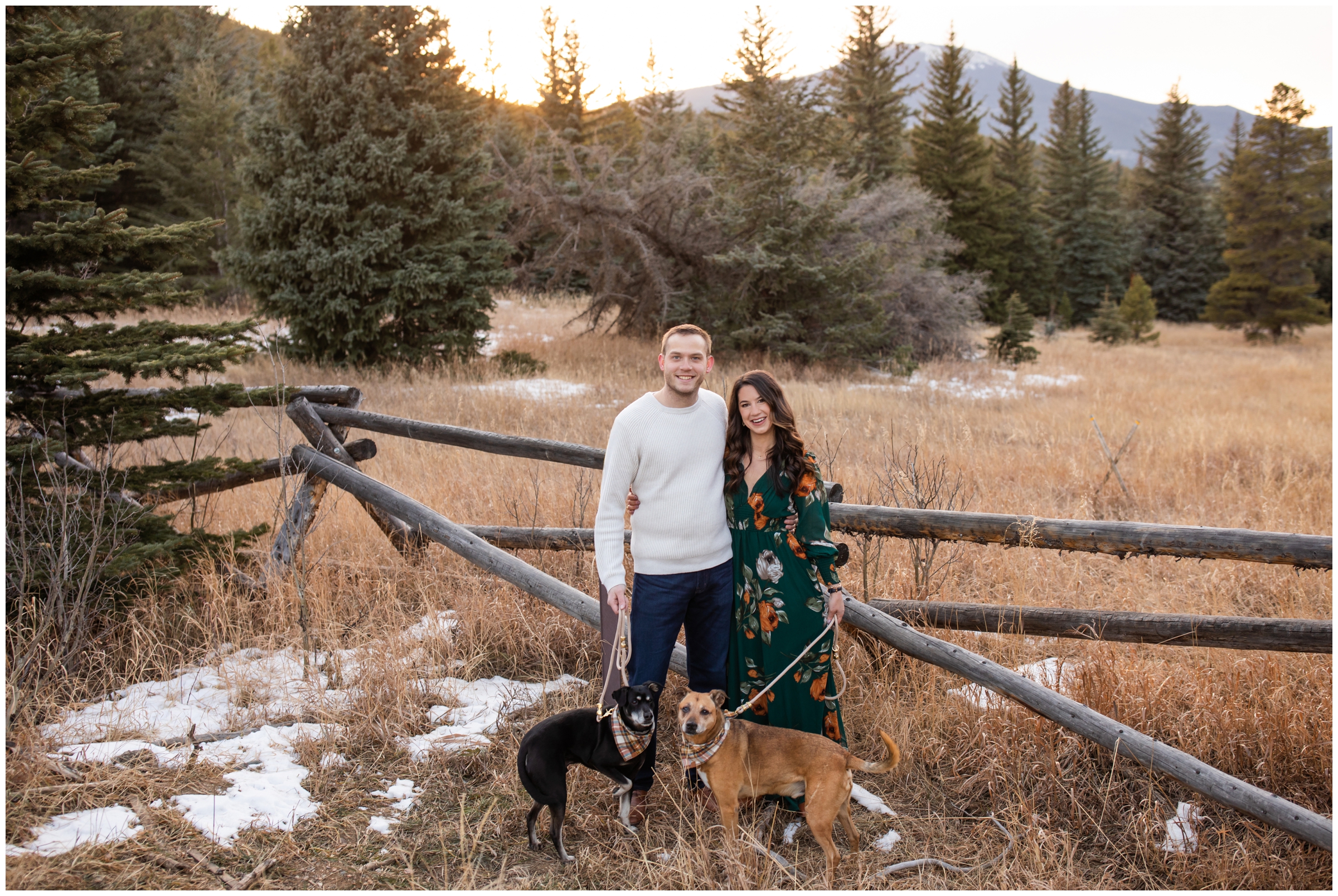 engagement photography inspiration with dogs at Frosberg Park in the Evergreen Colorado mountains 