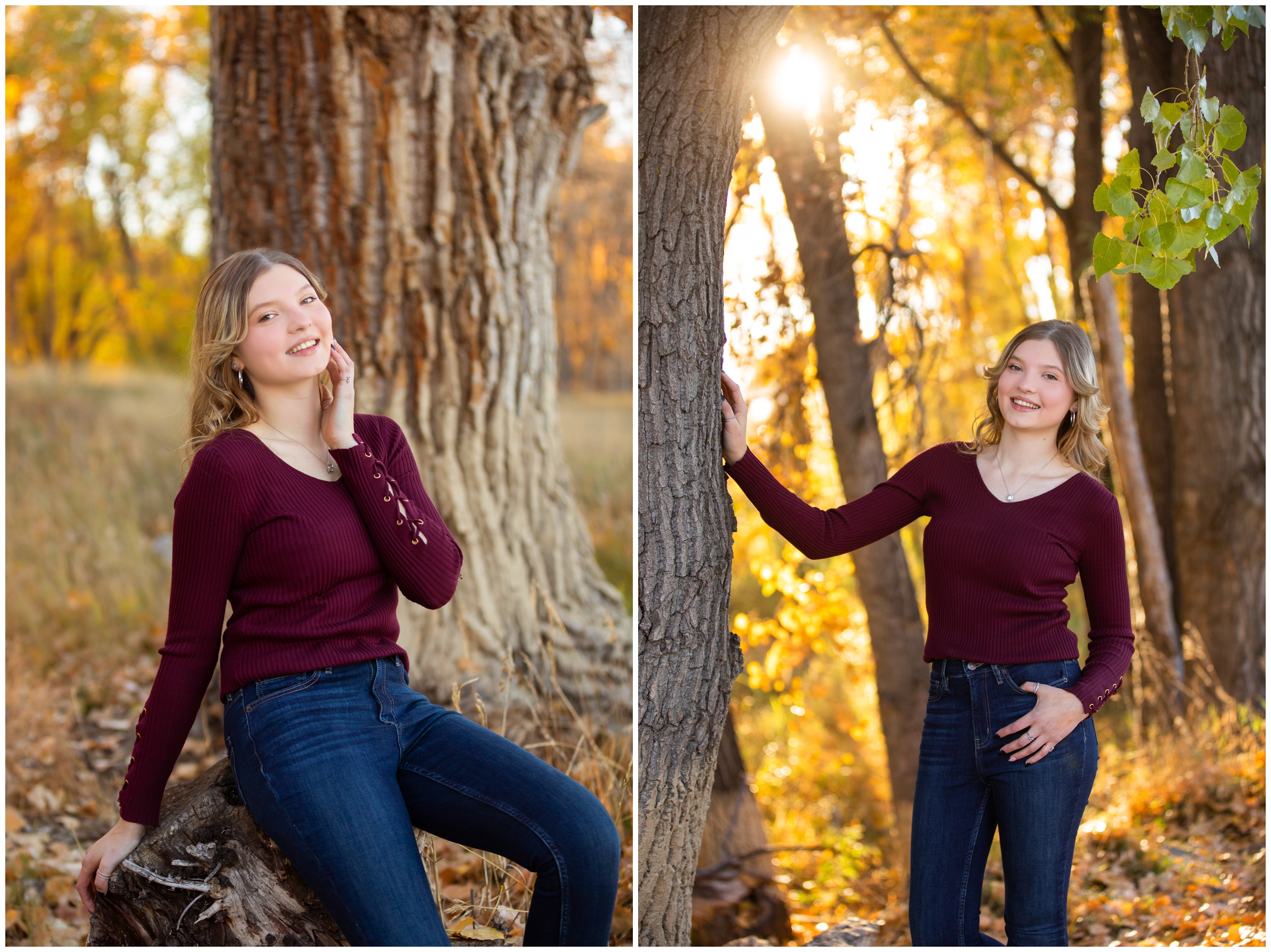 teen leaning against tree with fall foliage in background during fall senior pictures in Longmont Colorado 