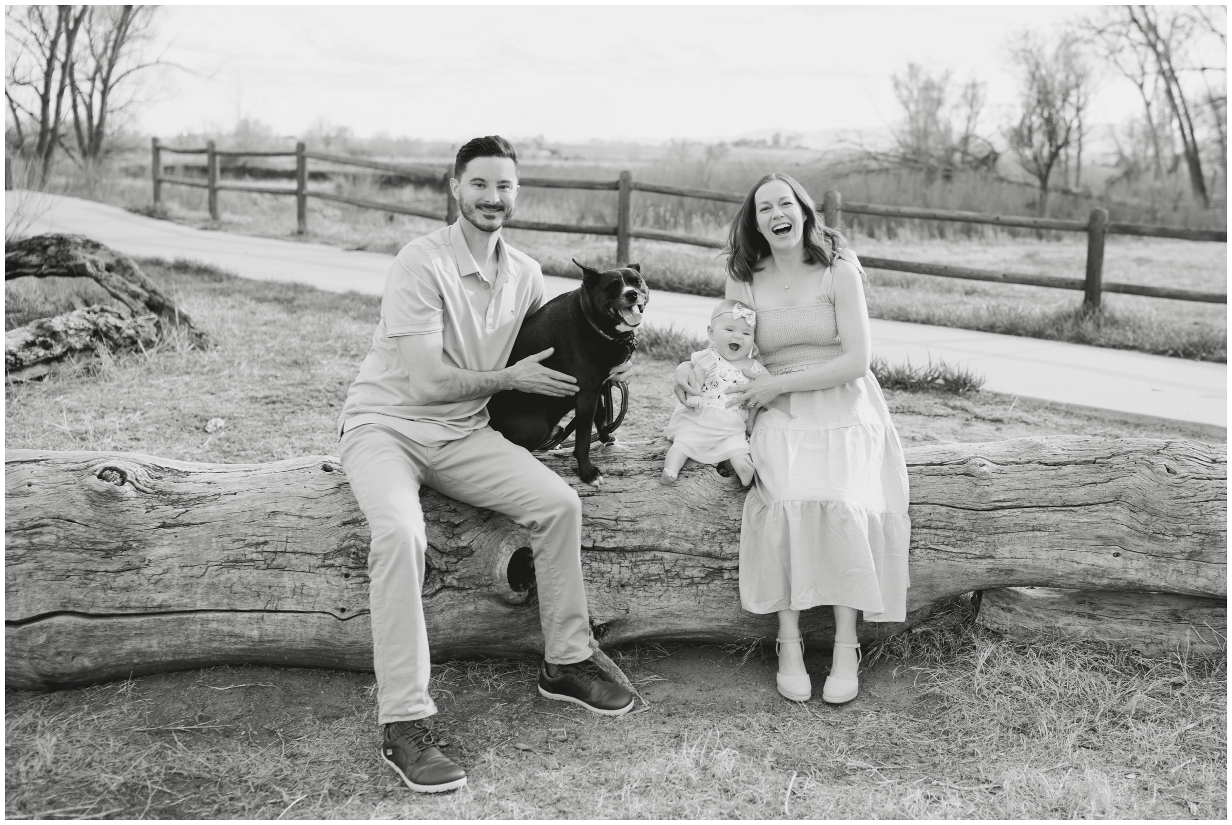 family sitting on fallen tree during spring family pictures at Sandstone Ranch Longmont 