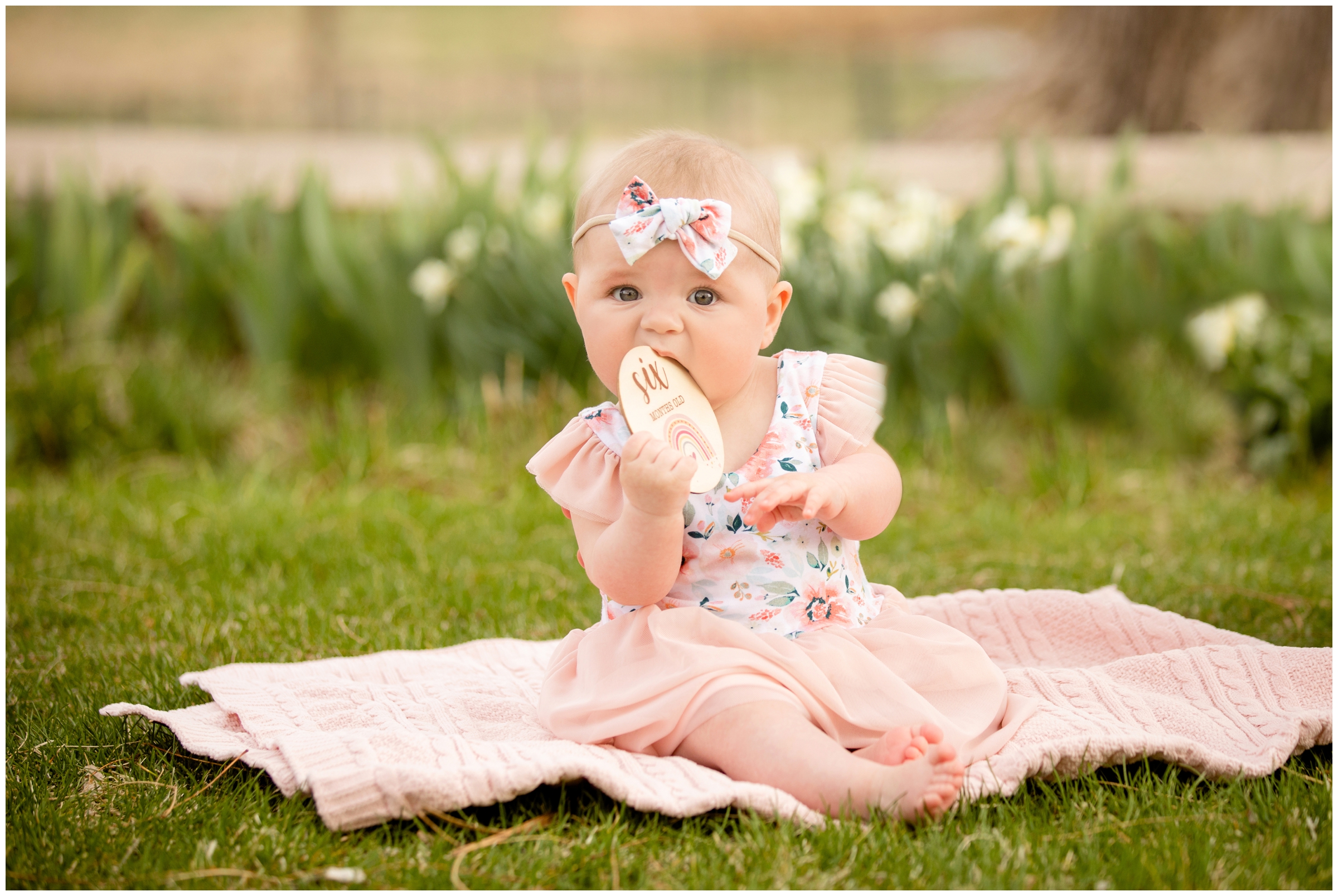 baby girl sitting on blanket during spring photography session in Longmont Colorado 