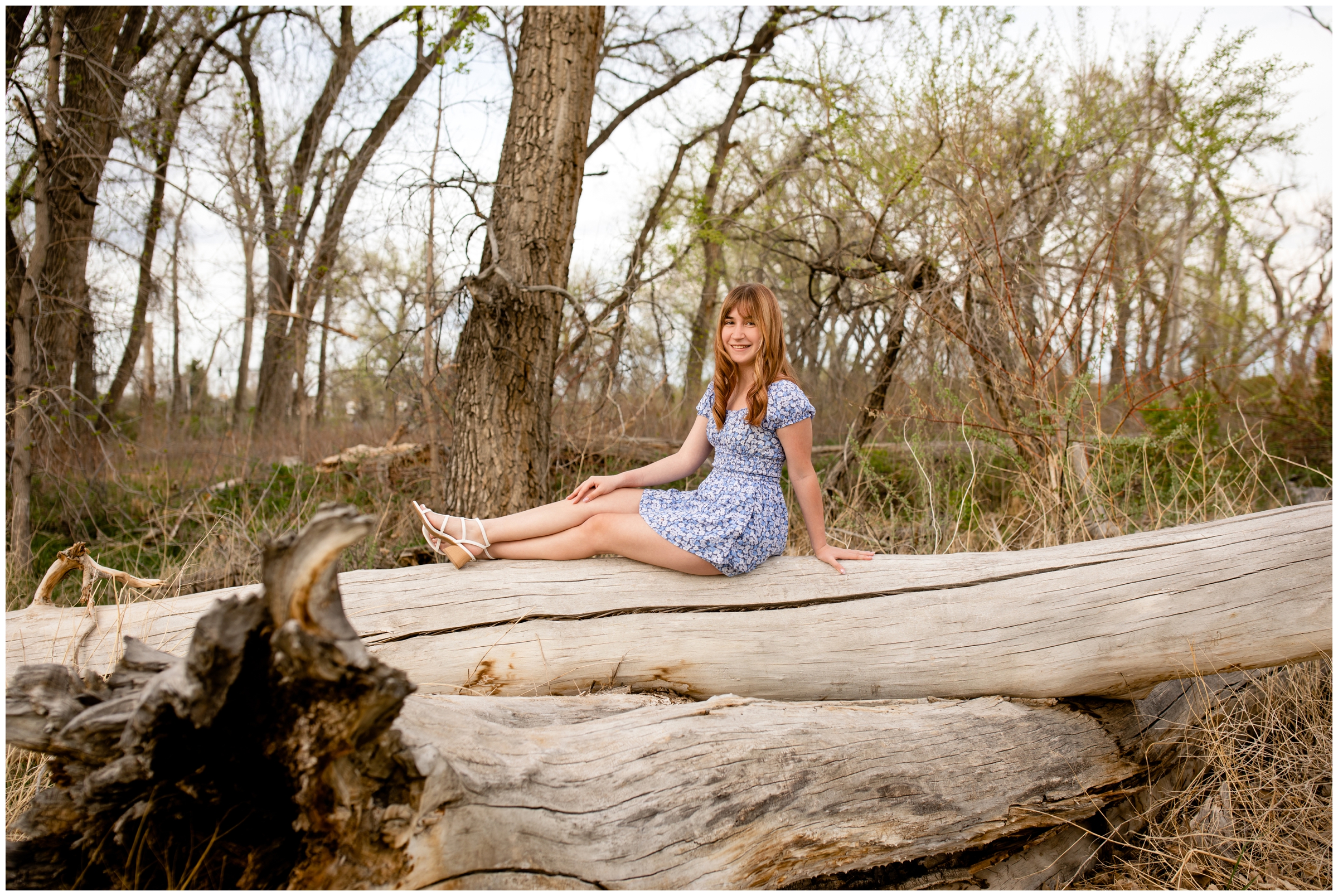 teen sitting on downed tree during spring senior portraits in Westminster Colorado 