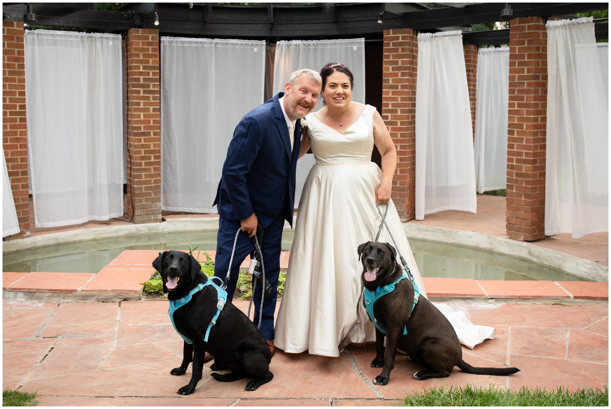 couple posing with their dogs during Dove house Colorado wedding portraits during summer 