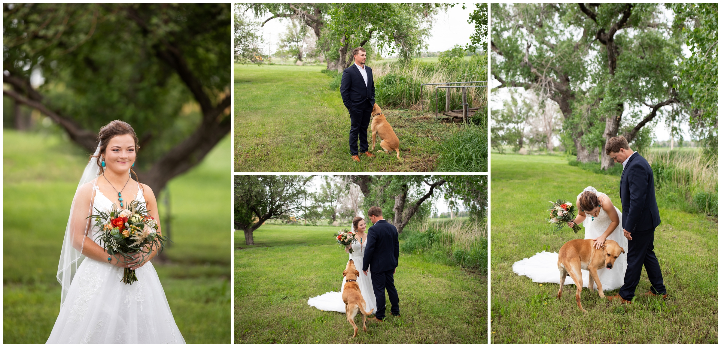 couple doing wedding first look with their dog