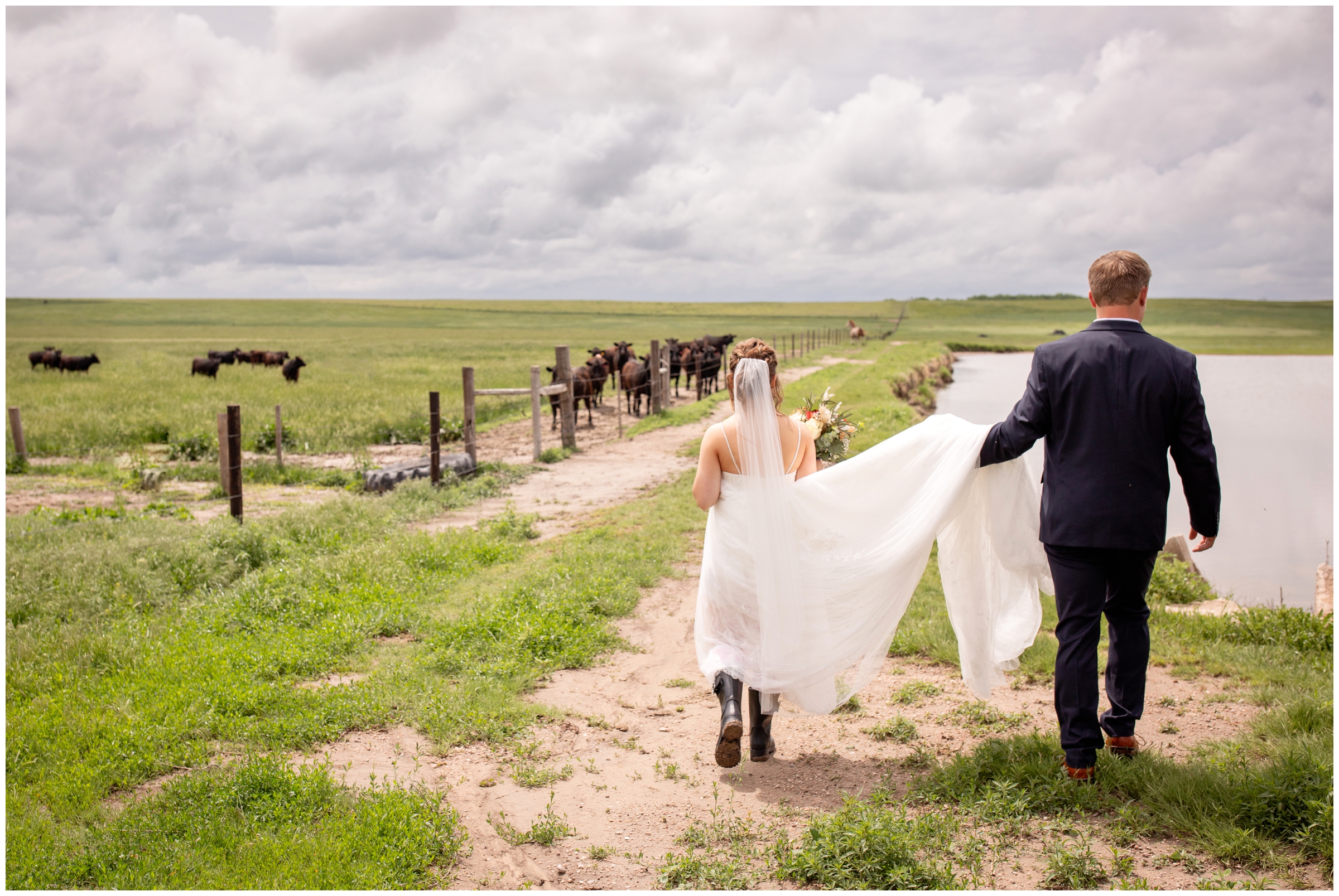 candid wedding photography on a farm in Crook Colorado 