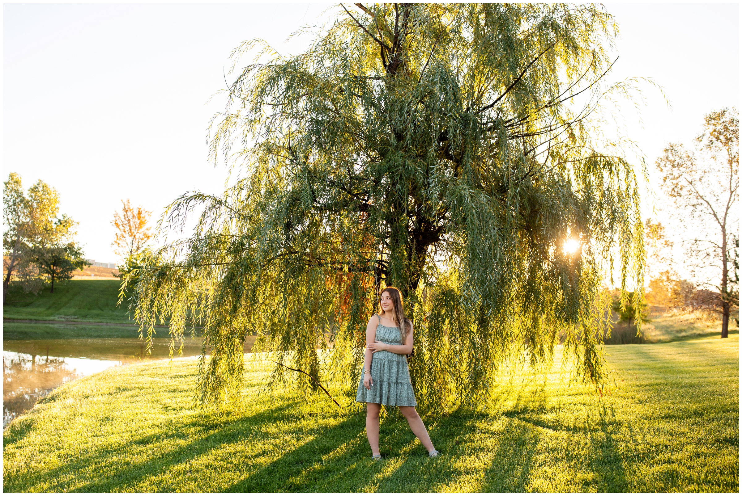 teen posing under a willow tree during Erie Colorado senior pictures at Buffalo Lake at Anthem Ranch 
