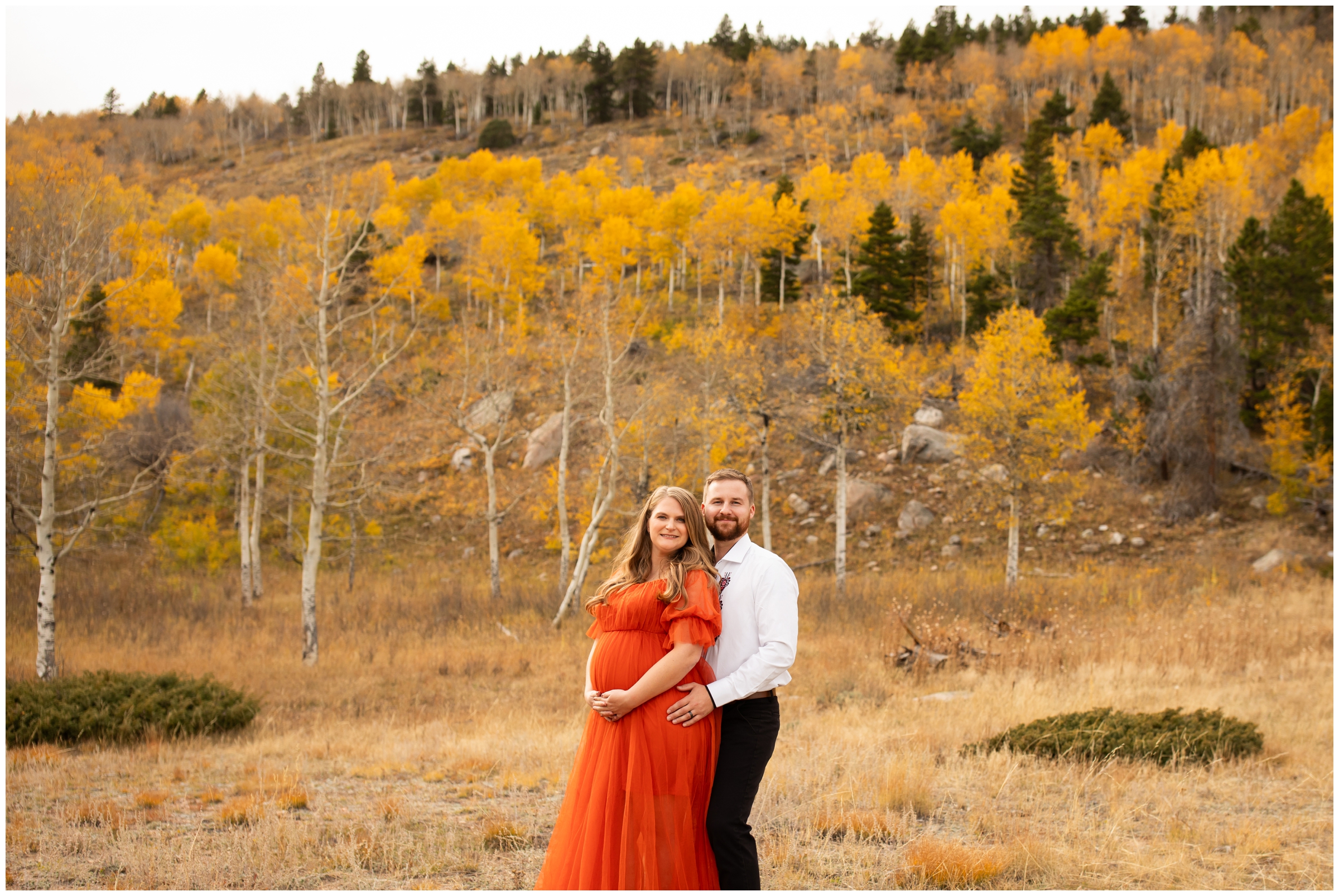 couple posing in front of aspen grove in RMNP during Estes park Colorado fall maternity photos by Plum Pretty Photography