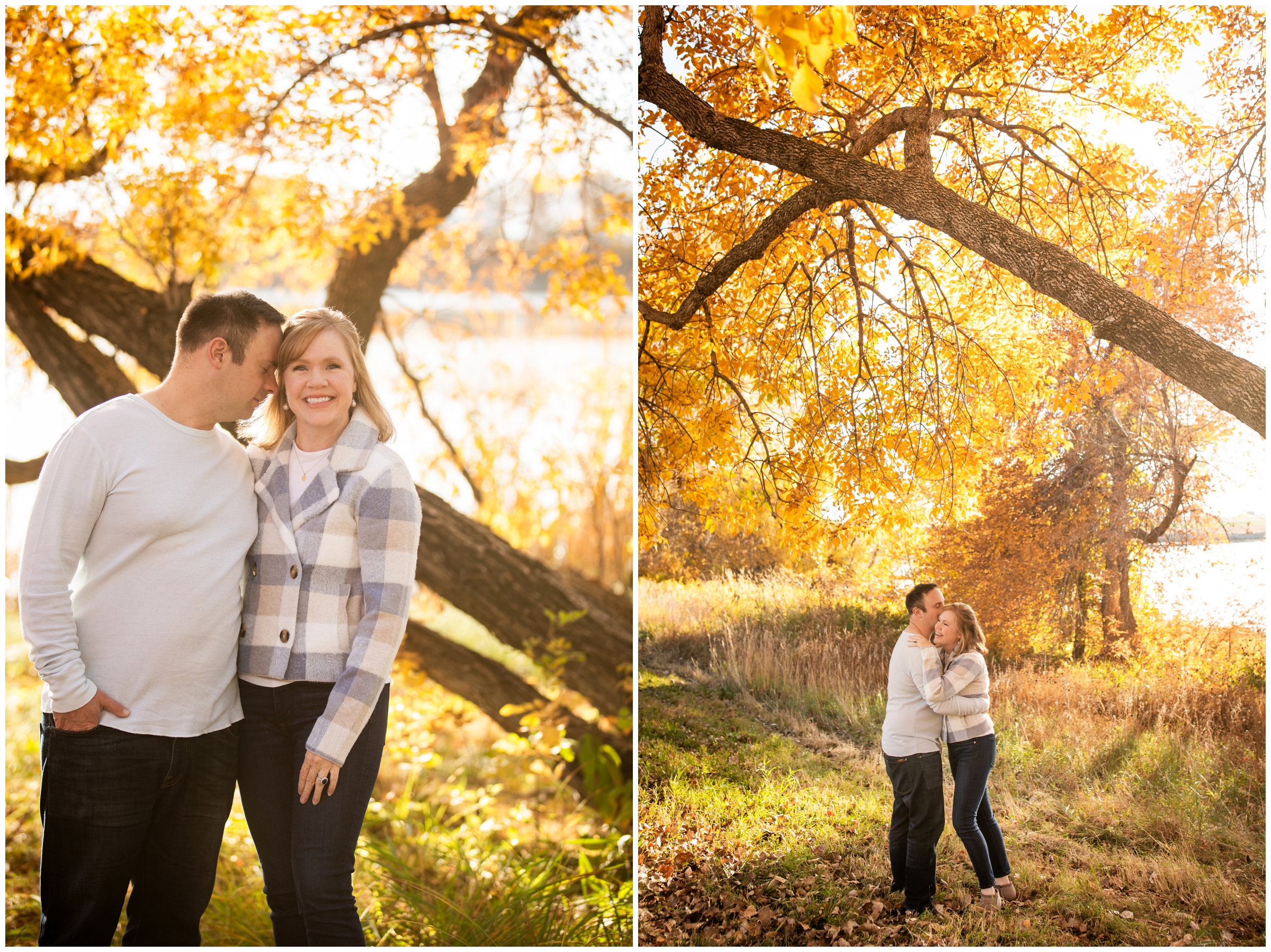 couple cuddling under fall foliage during Mead Colorado couples portraits 