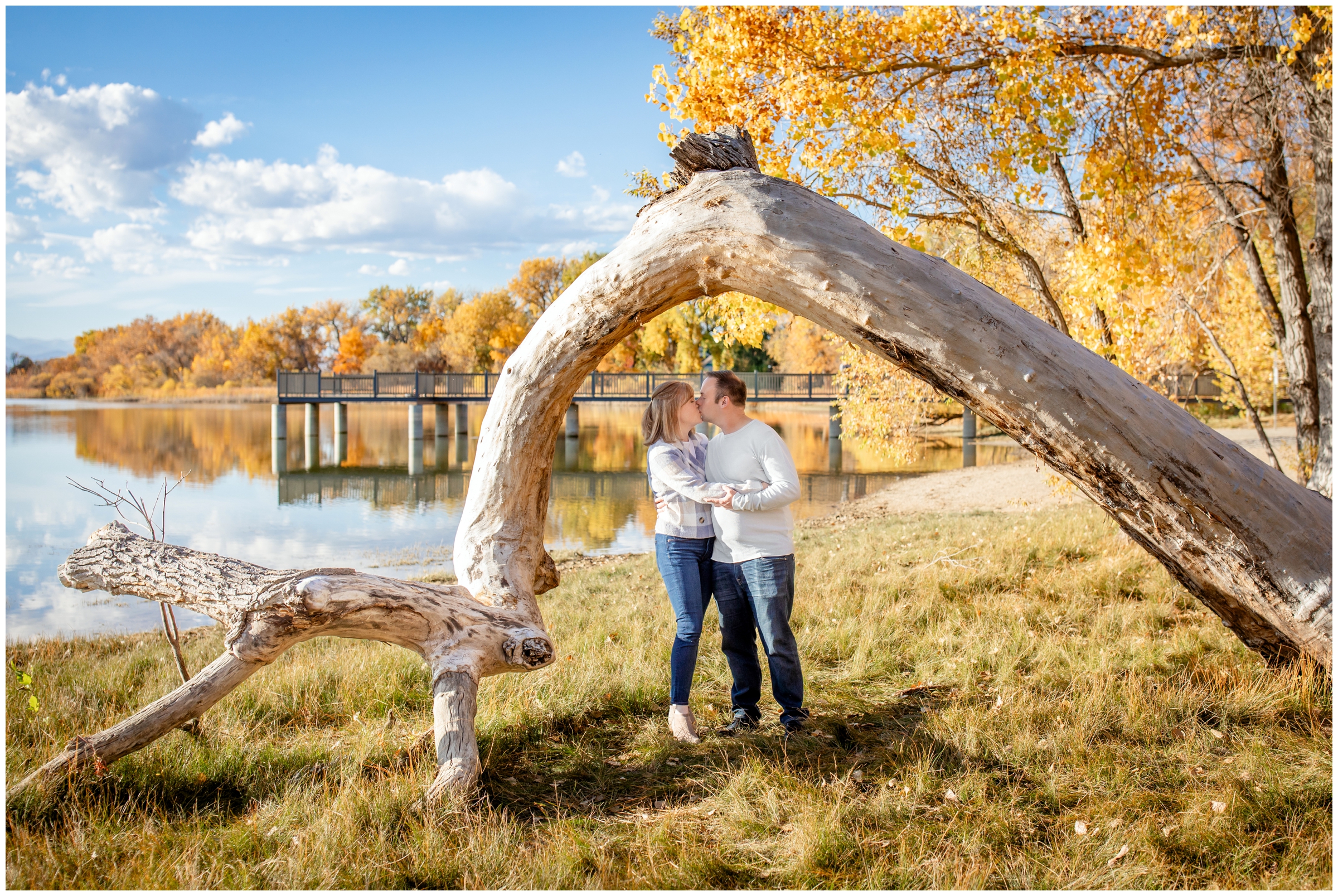 couple kissing under downed tree during Colorado fall mini sessions by Plum Pretty Photography