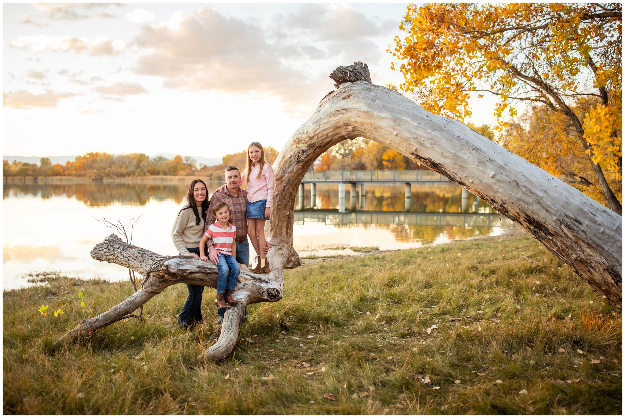 family posing by fallen tree during fall photography session by Mead Colorado family photographer Plum Pretty Photography