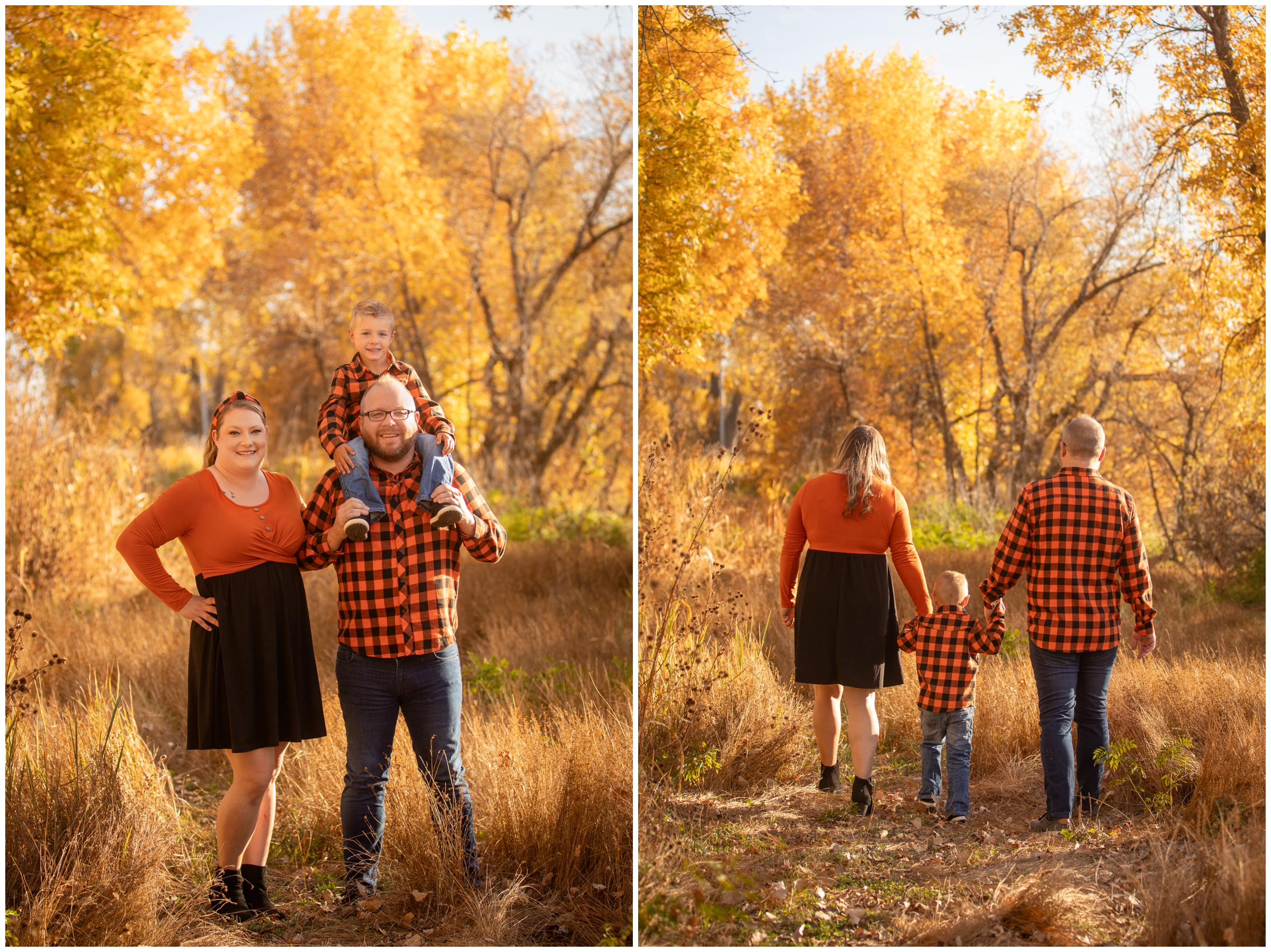 family walking through golden field during fall photography session in Mead Colorado 