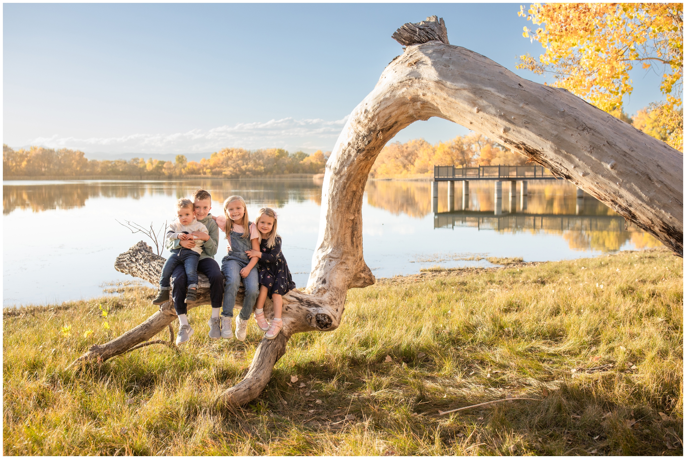 kids sitting on downed tree during Colorado lake family photos in Mead