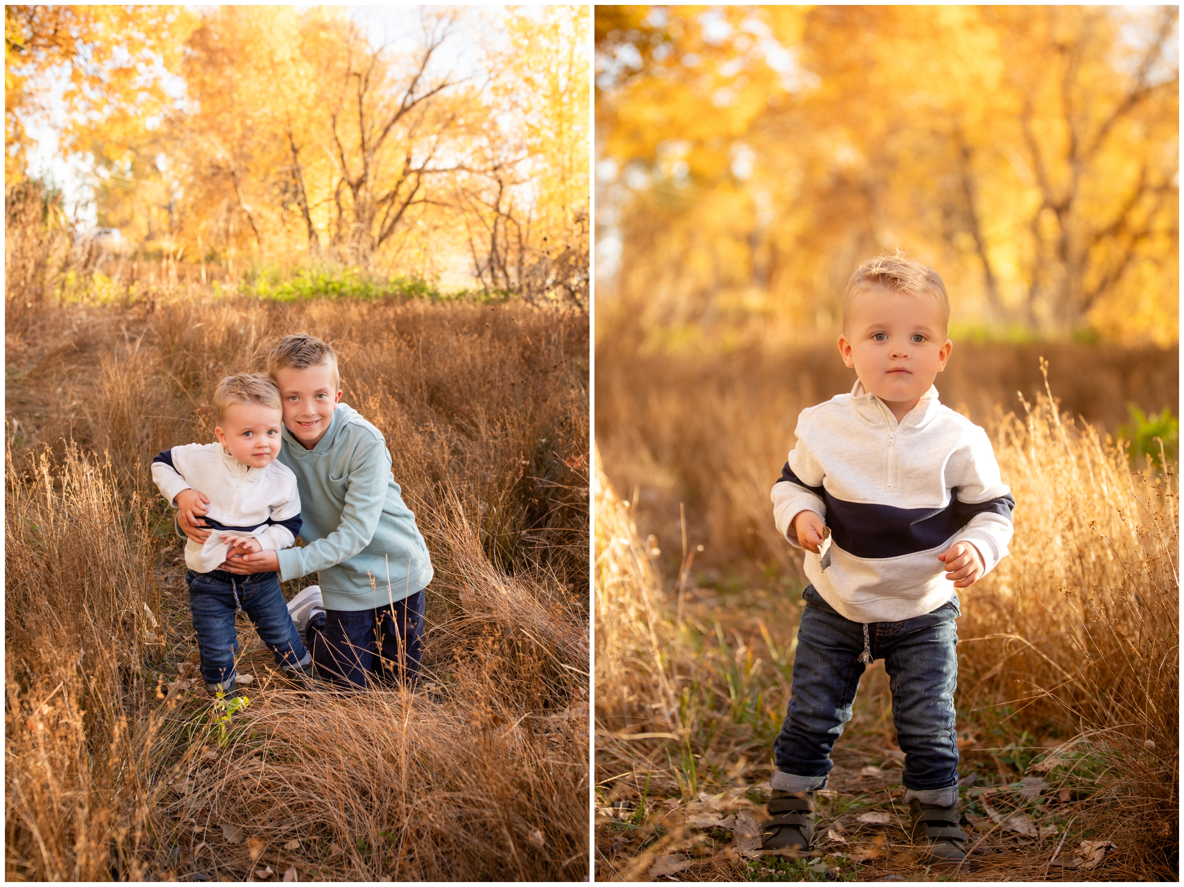 brothers hugging during Colorado fall family mini photography session by Plum Pretty Photography 